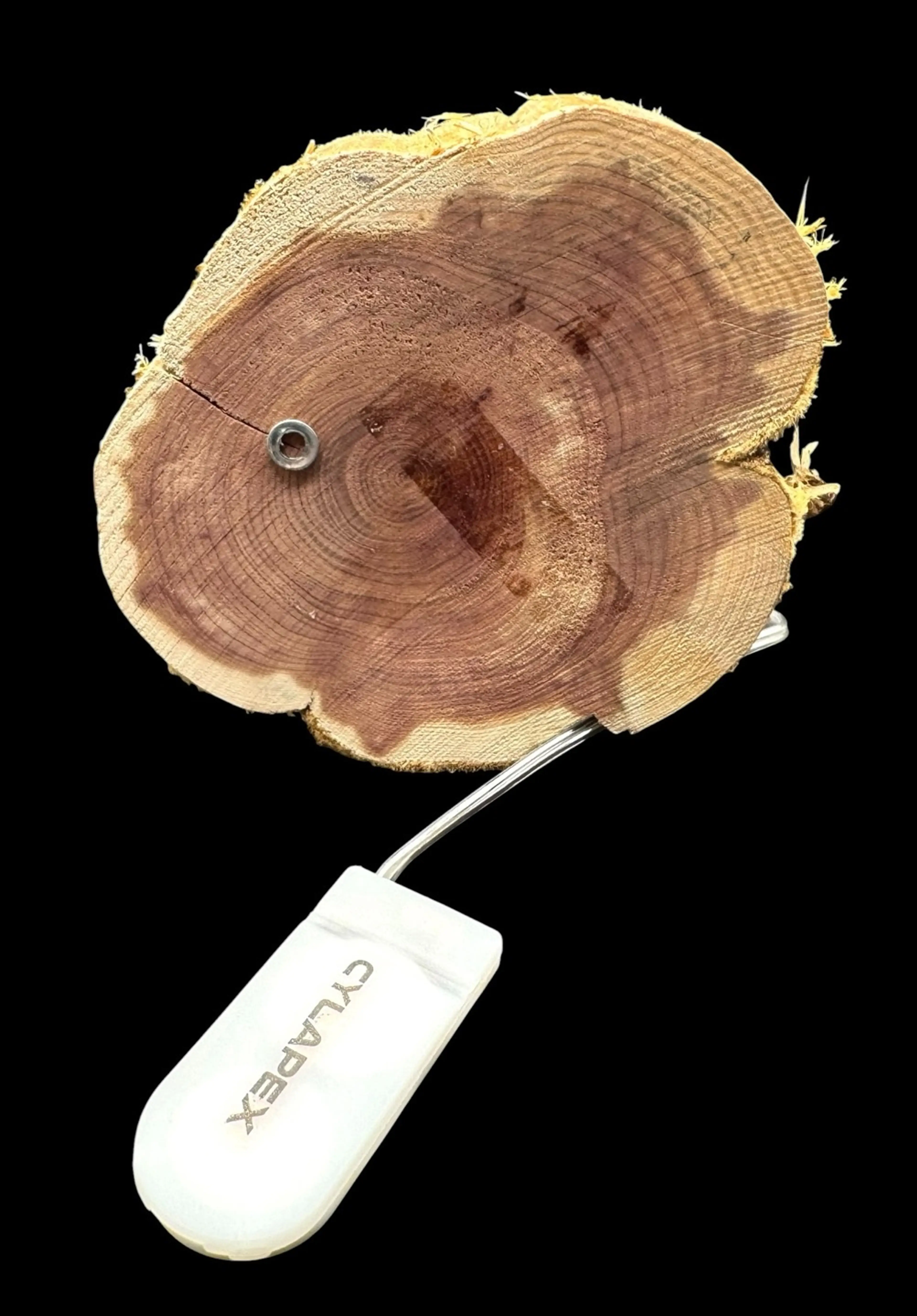 Image 5 of 6