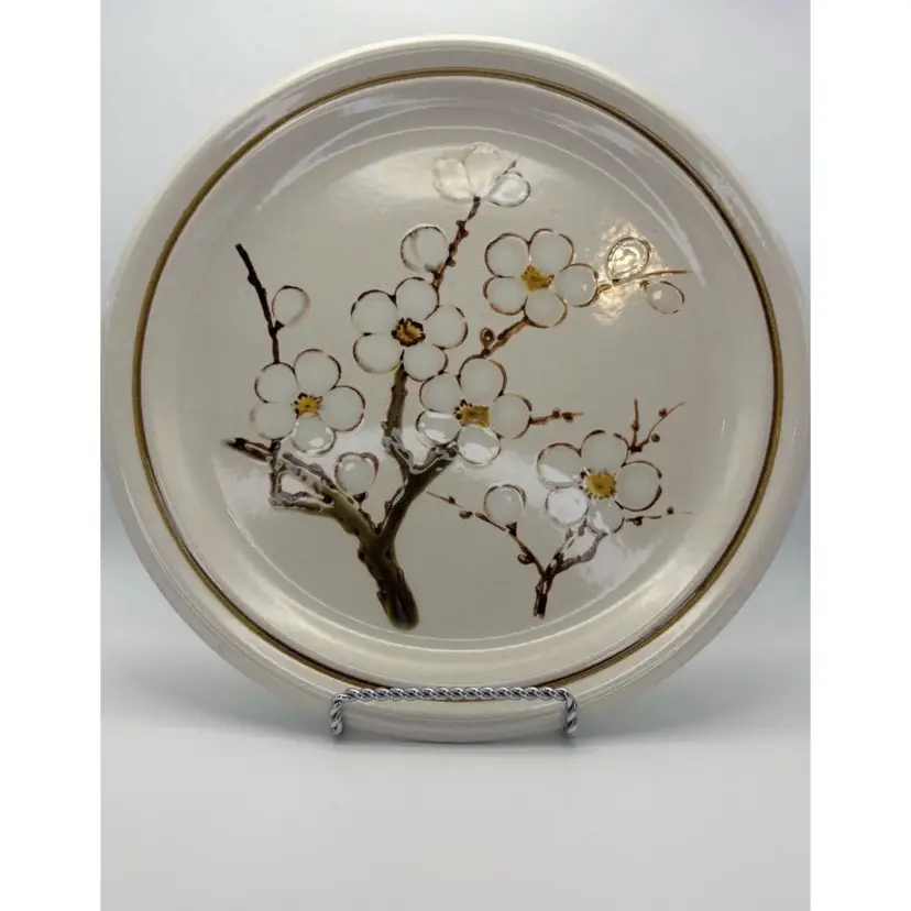 Stone harvest By Mikasa Dinner Plate Set Of 2