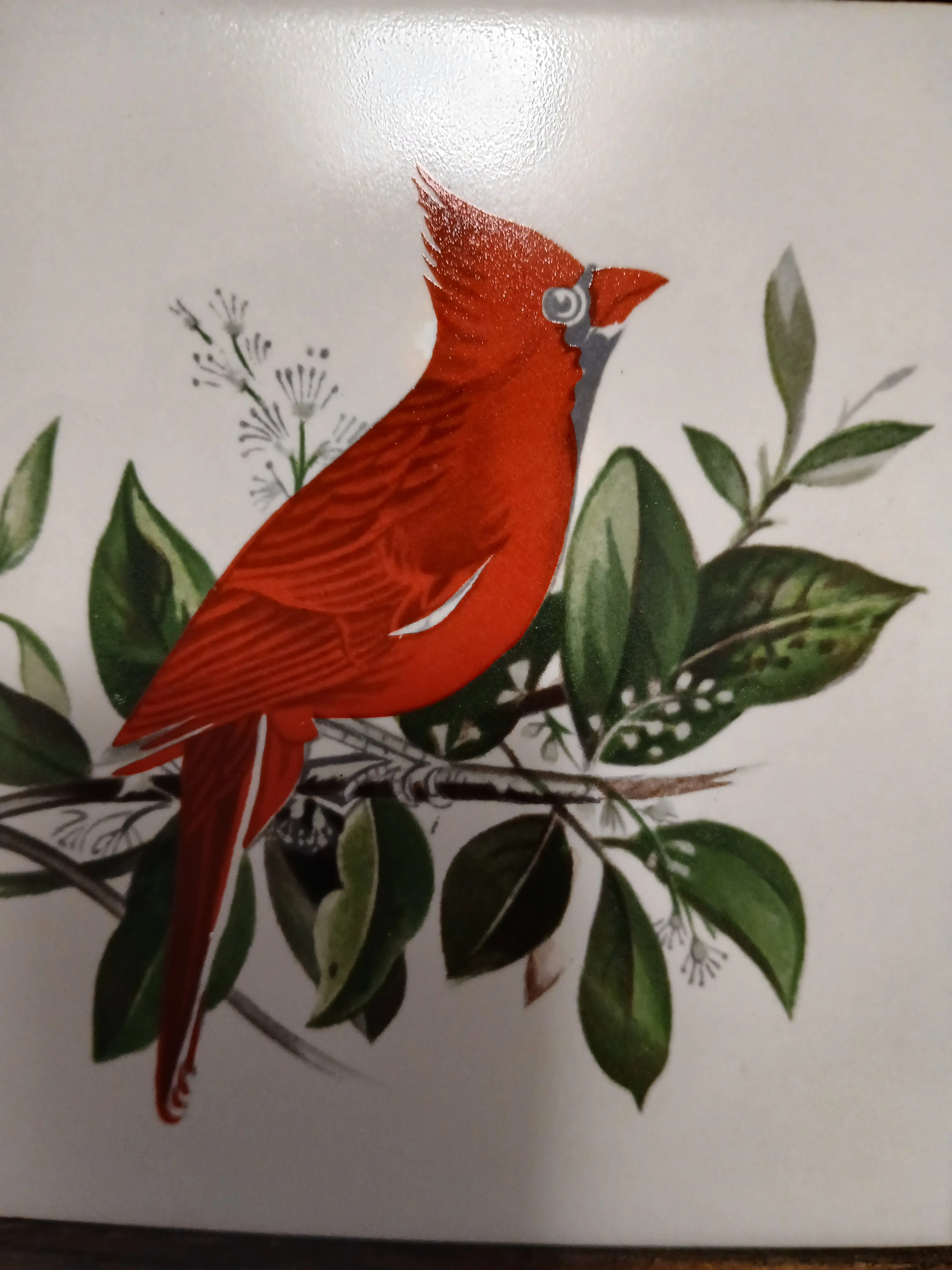 Image 2 of 7