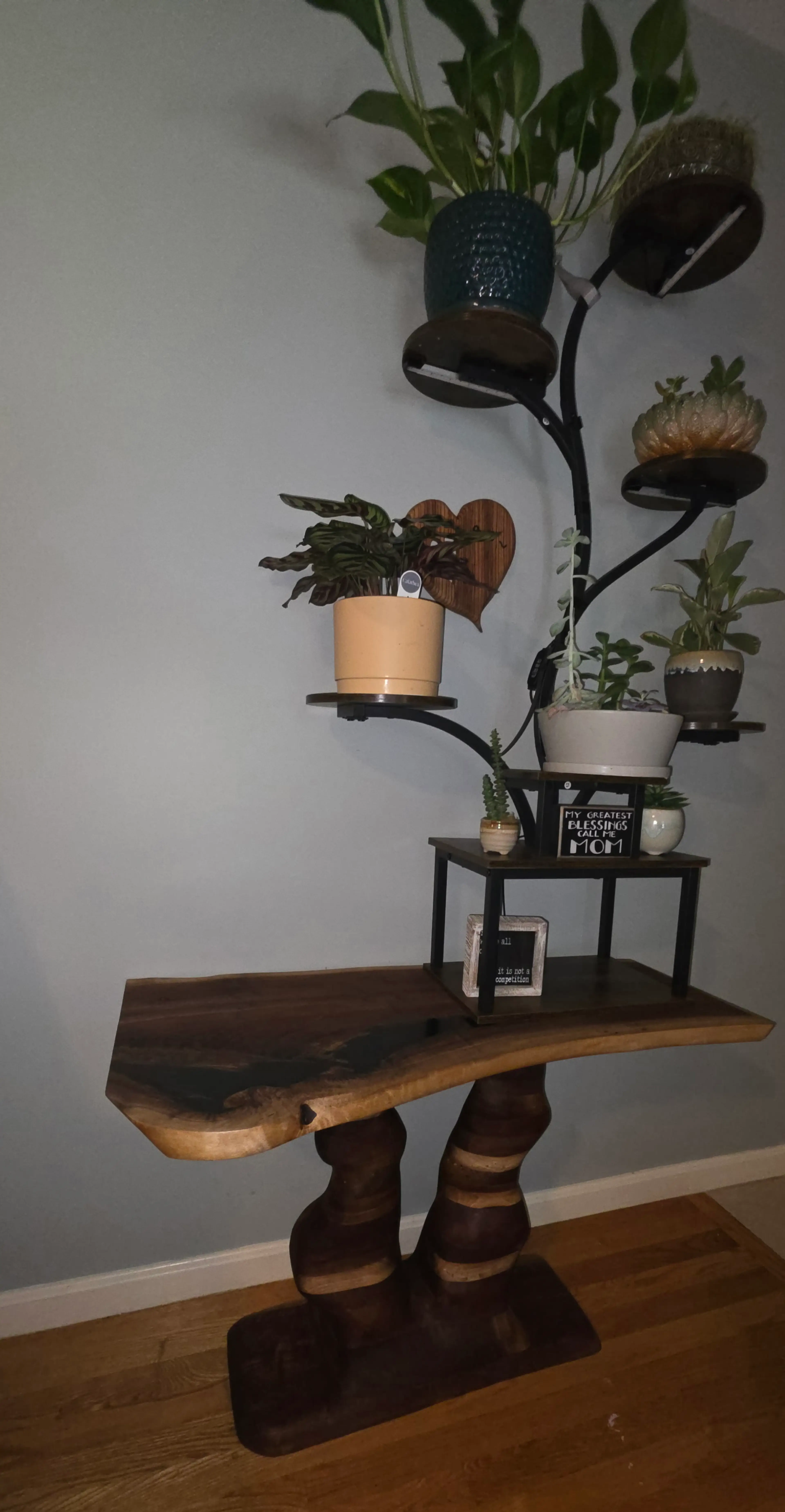 Image 3 of 20