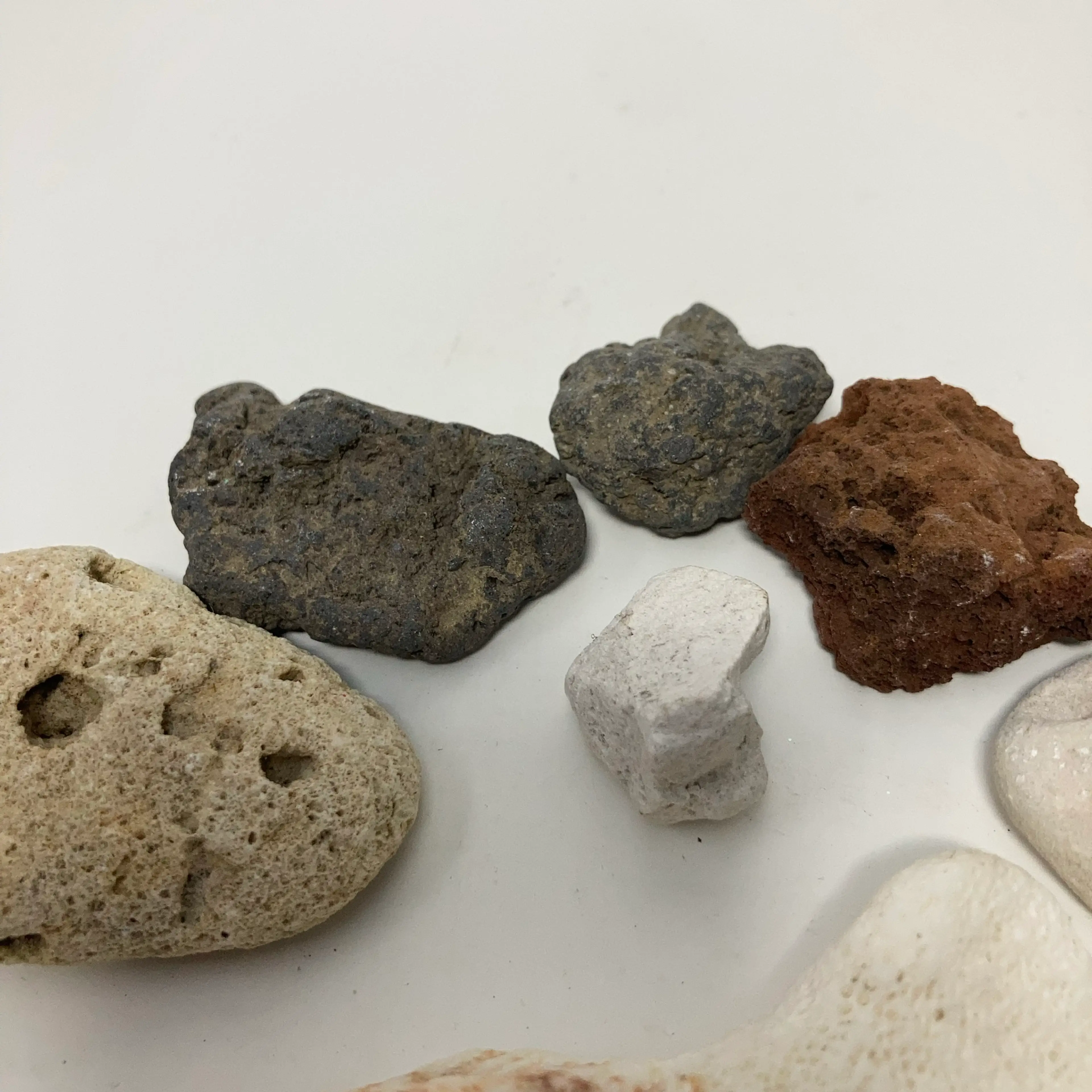 Image 4 of 12