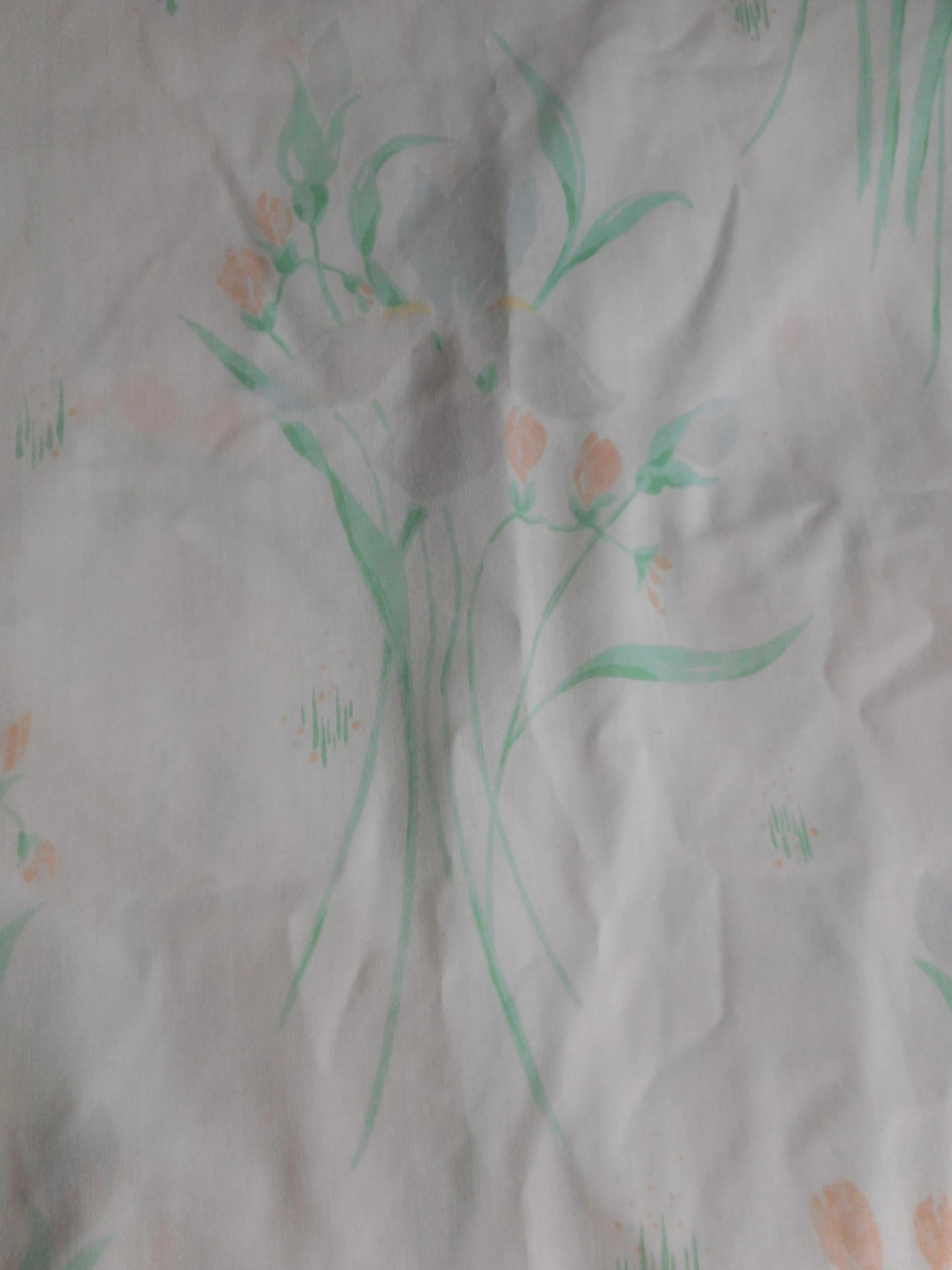 Image 3 of 5