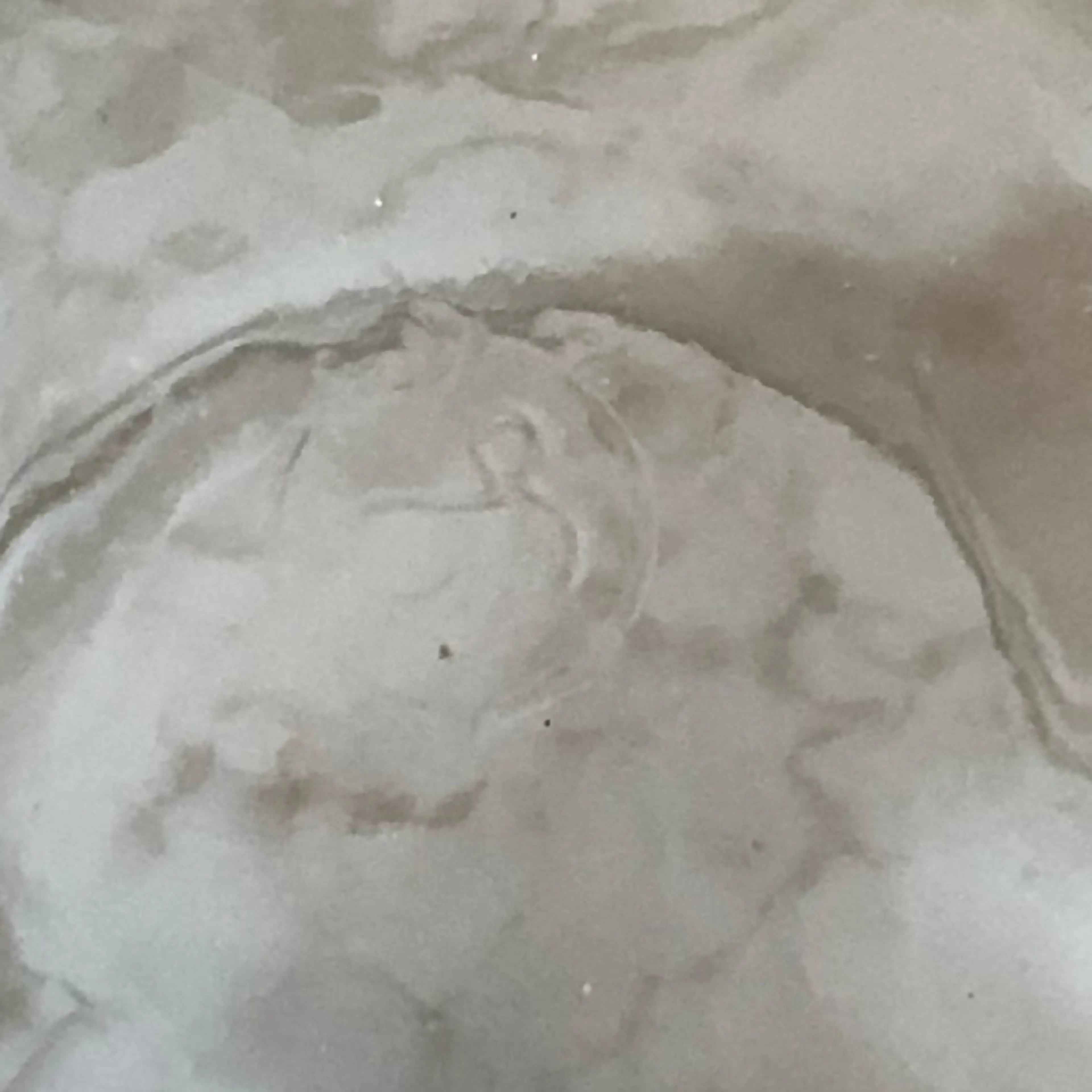 Image 5 of 5