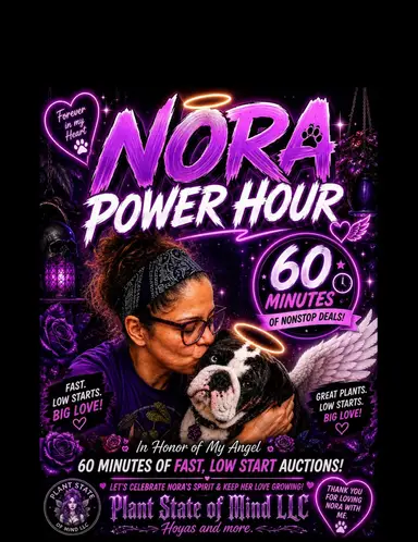 NORA’S POWER HOUR.FAST LOW START AUCTIONS!