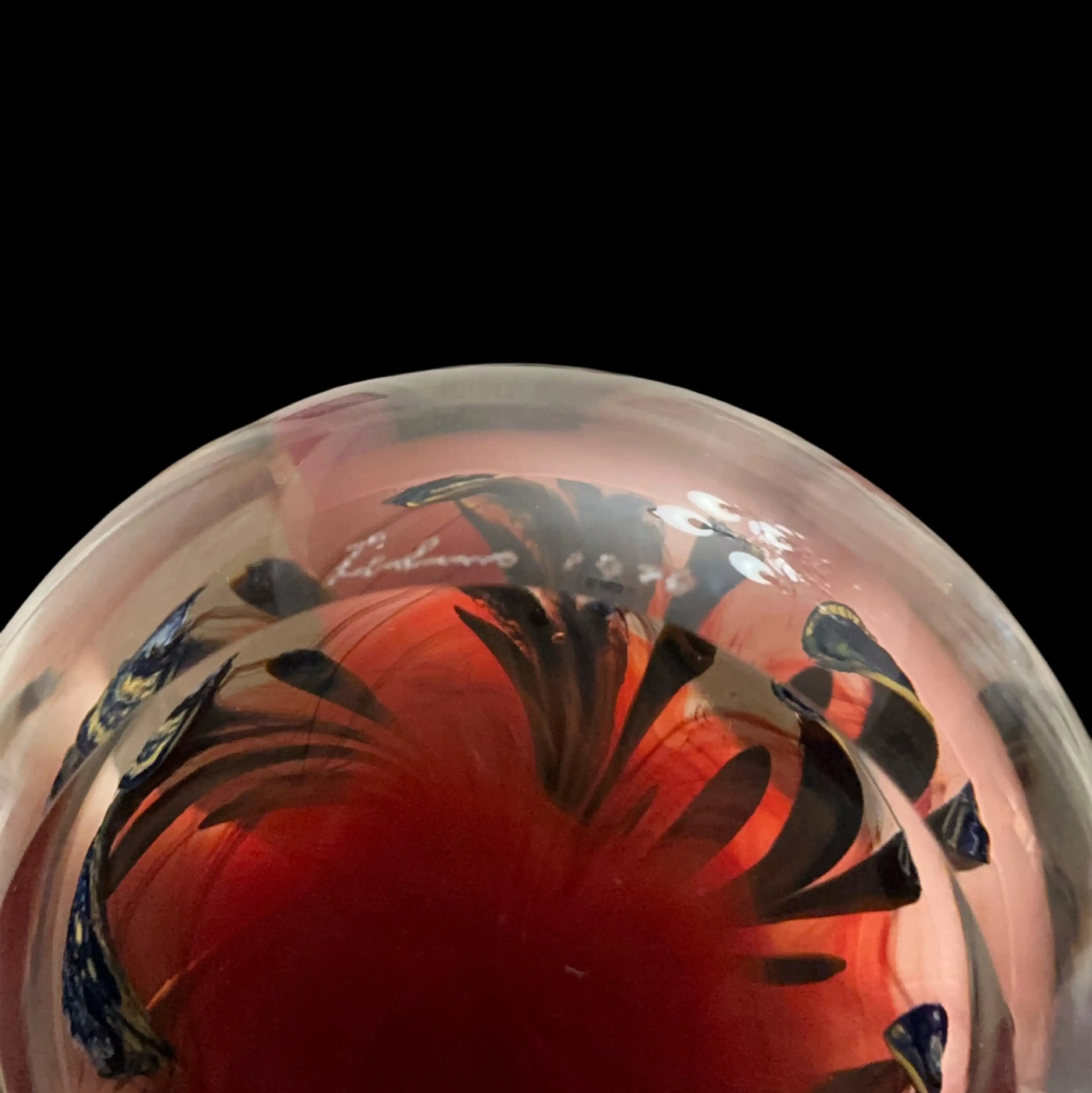 Image 5 of 5