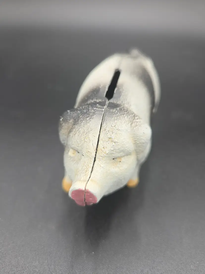 Fantastic pig!