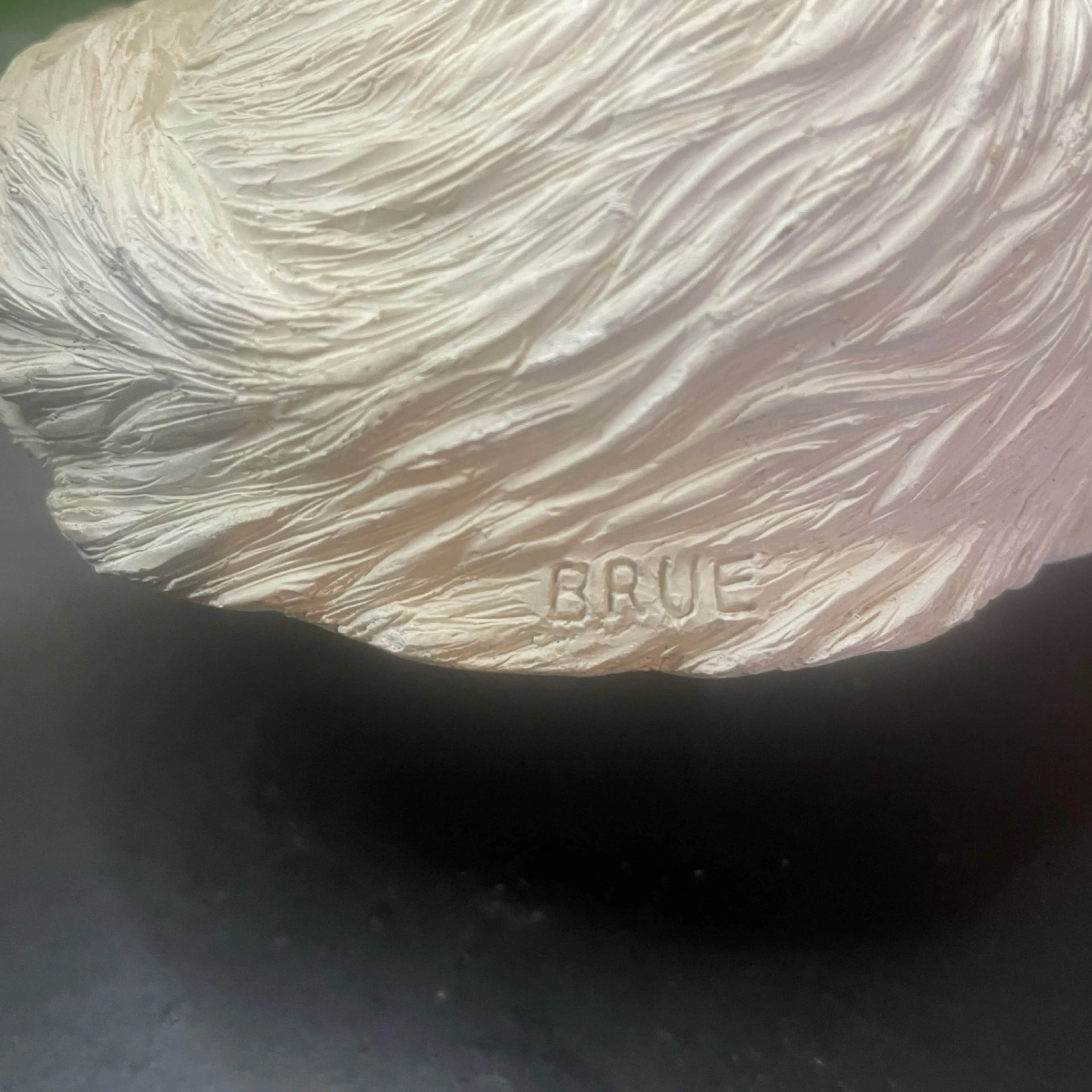 Image 5 of 8