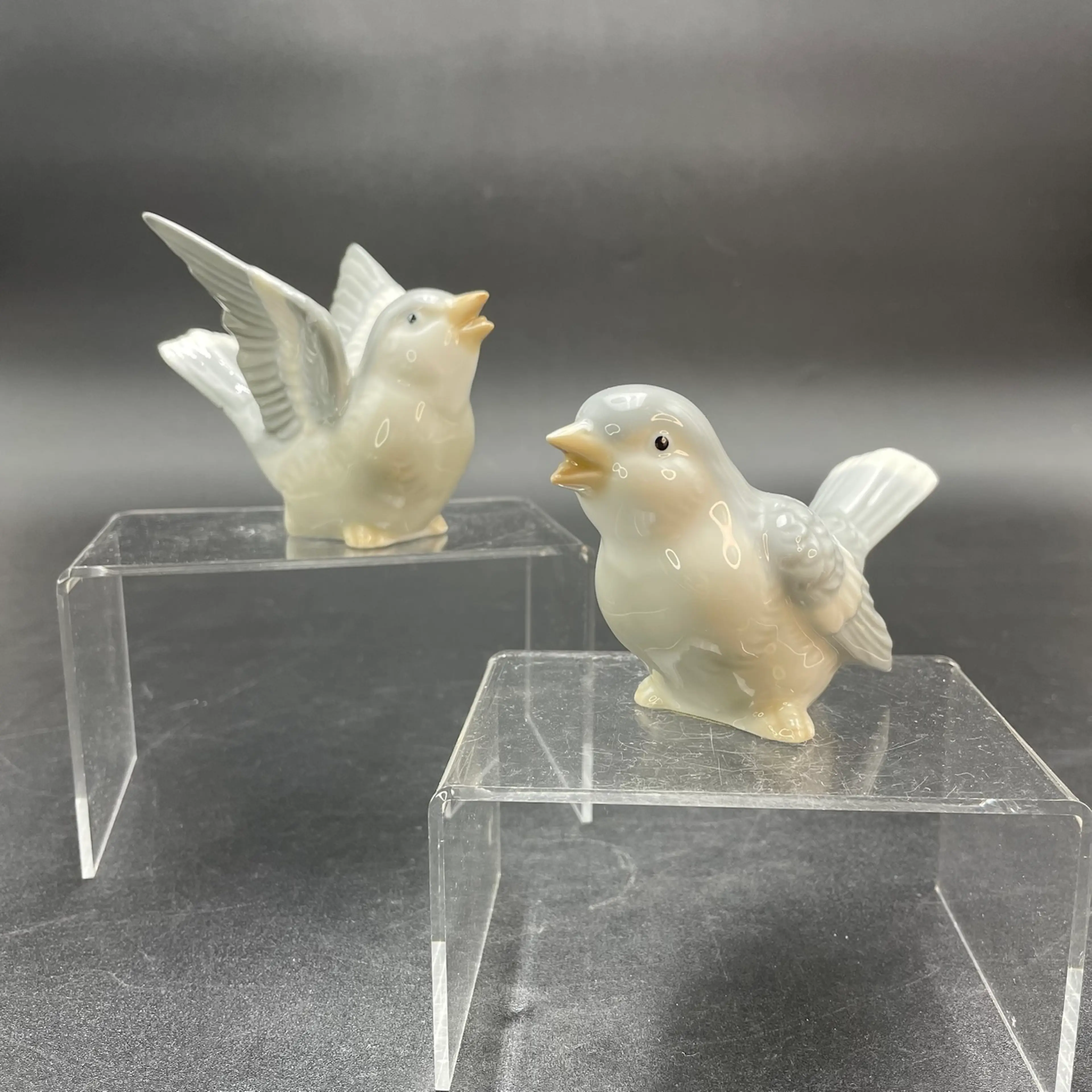 Image 1 of 14