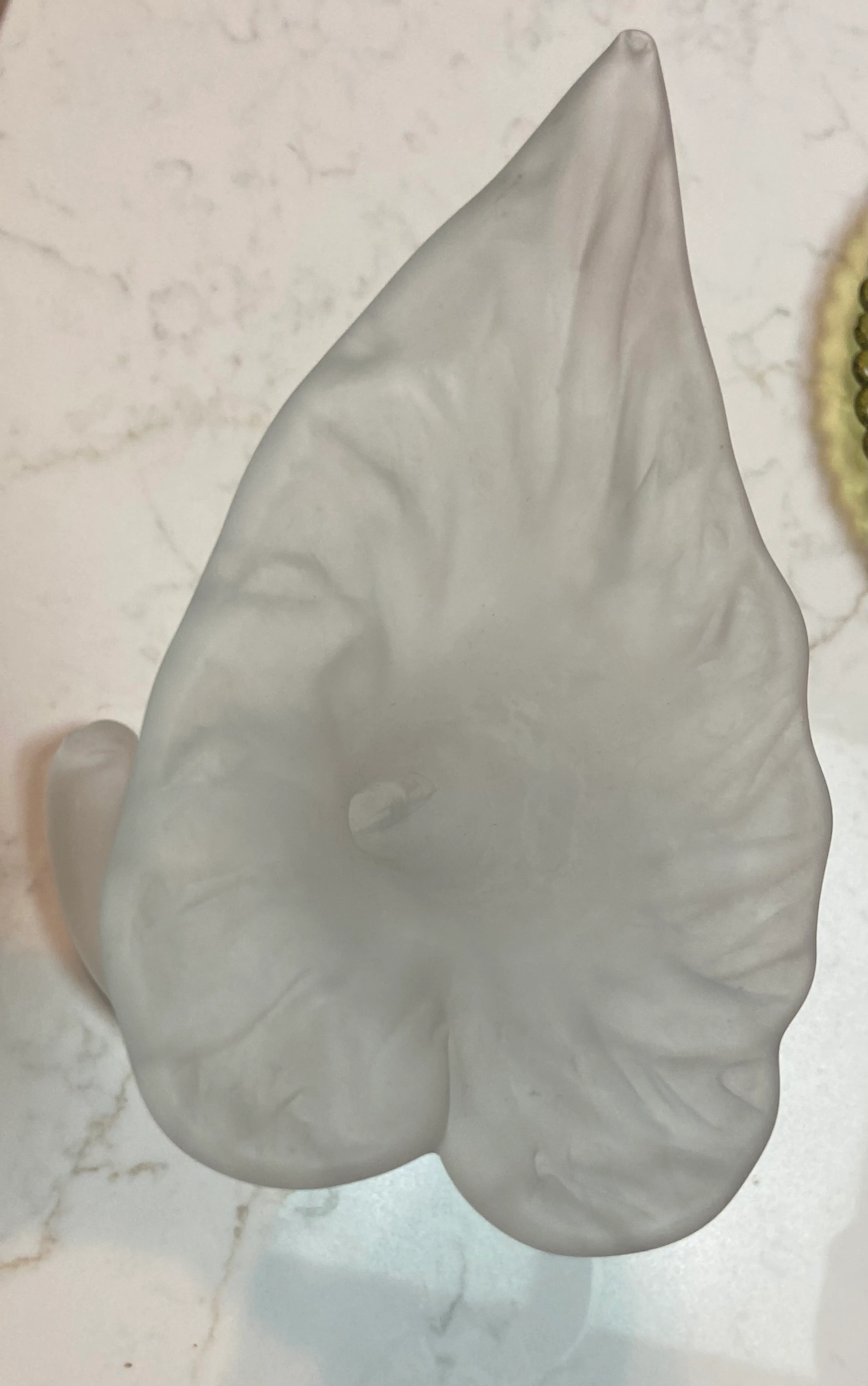 Image 5 of 6
