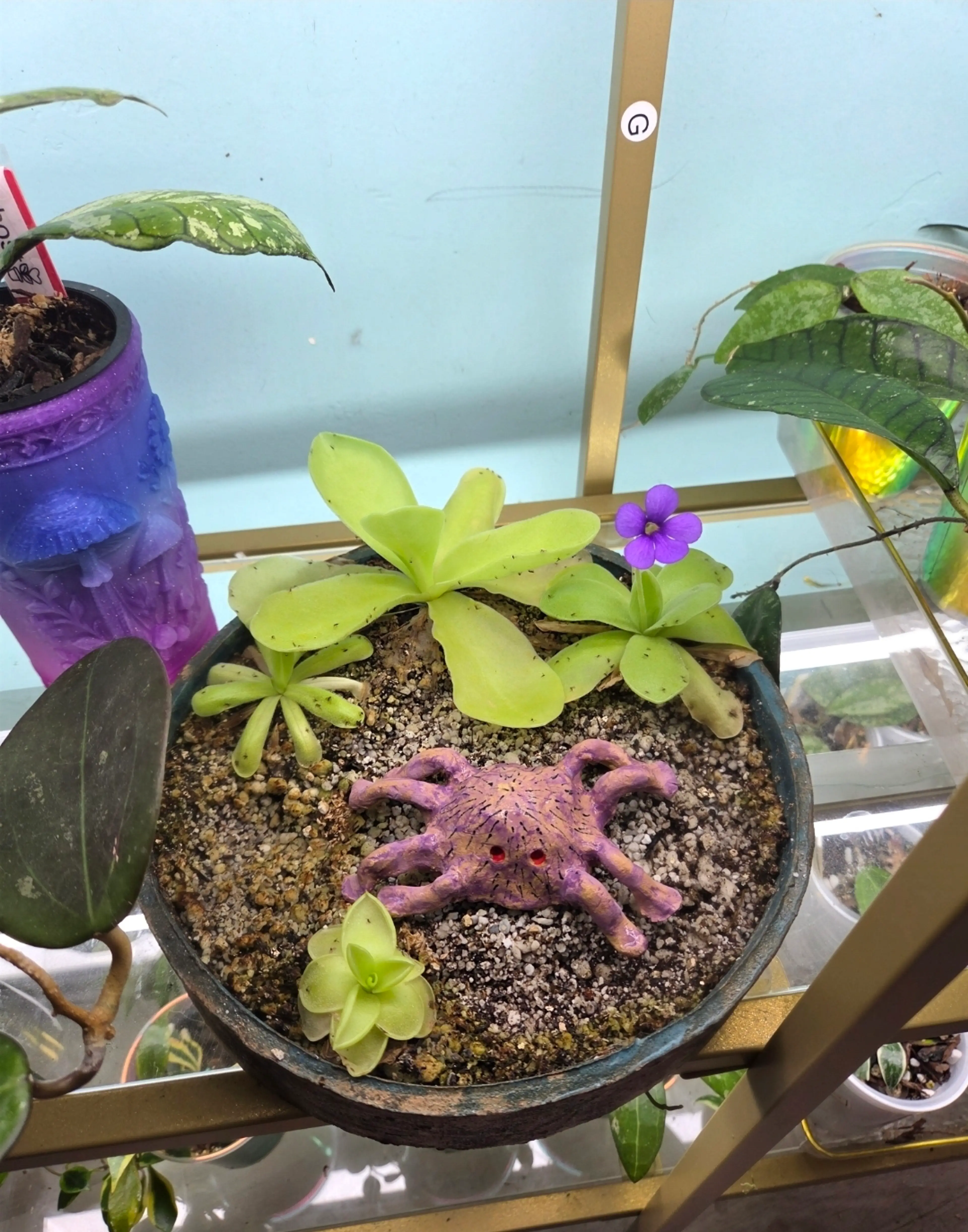 Image 5 of 5