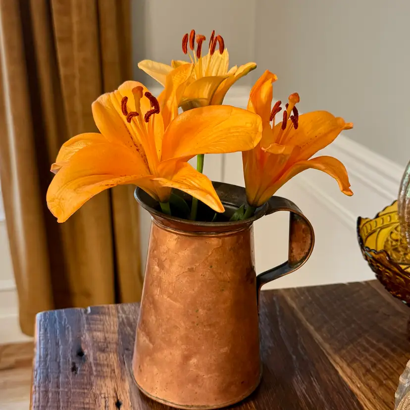 🎀 Vtg Rustic Copper Harvest Jug