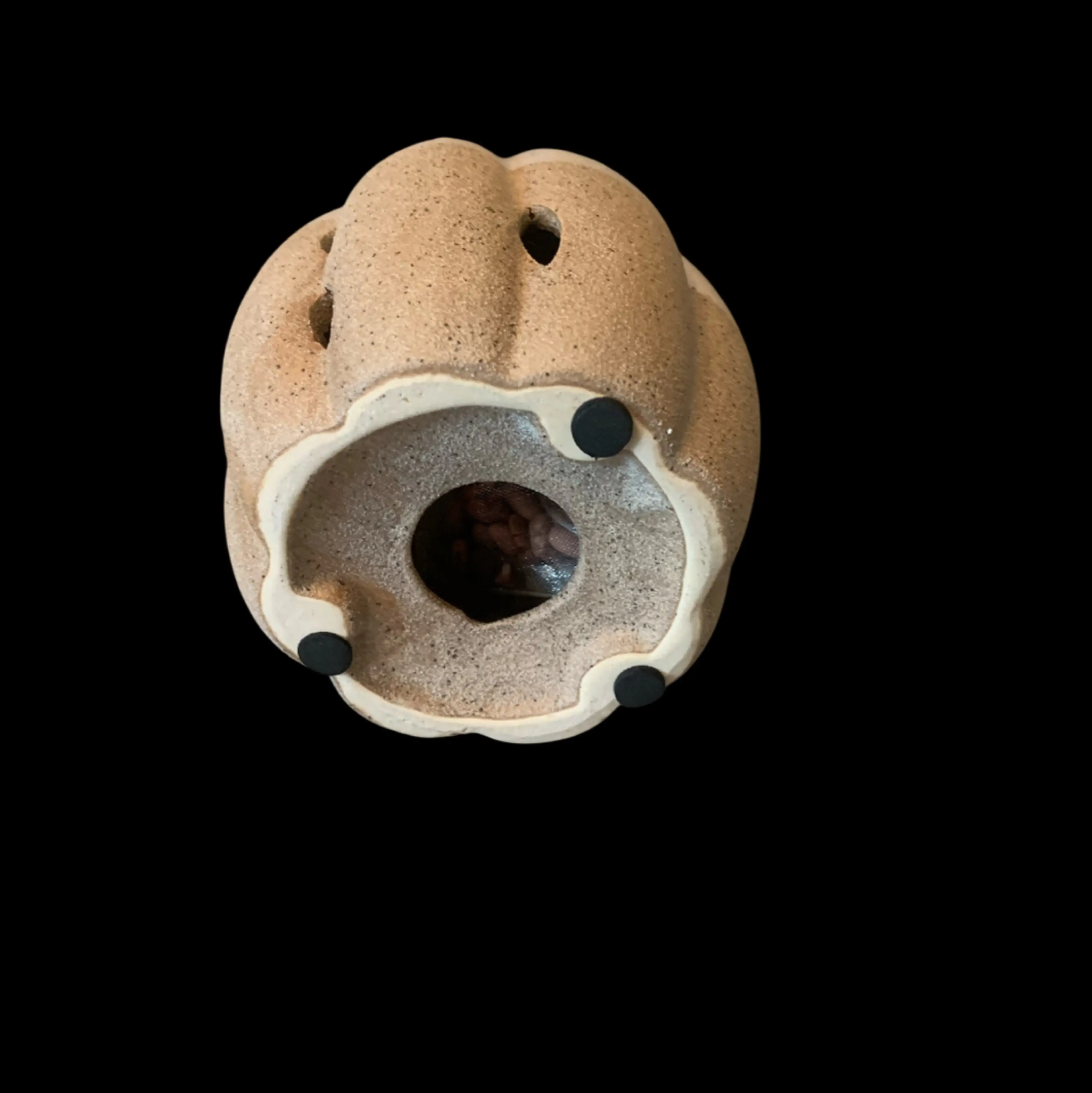Image 5 of 5
