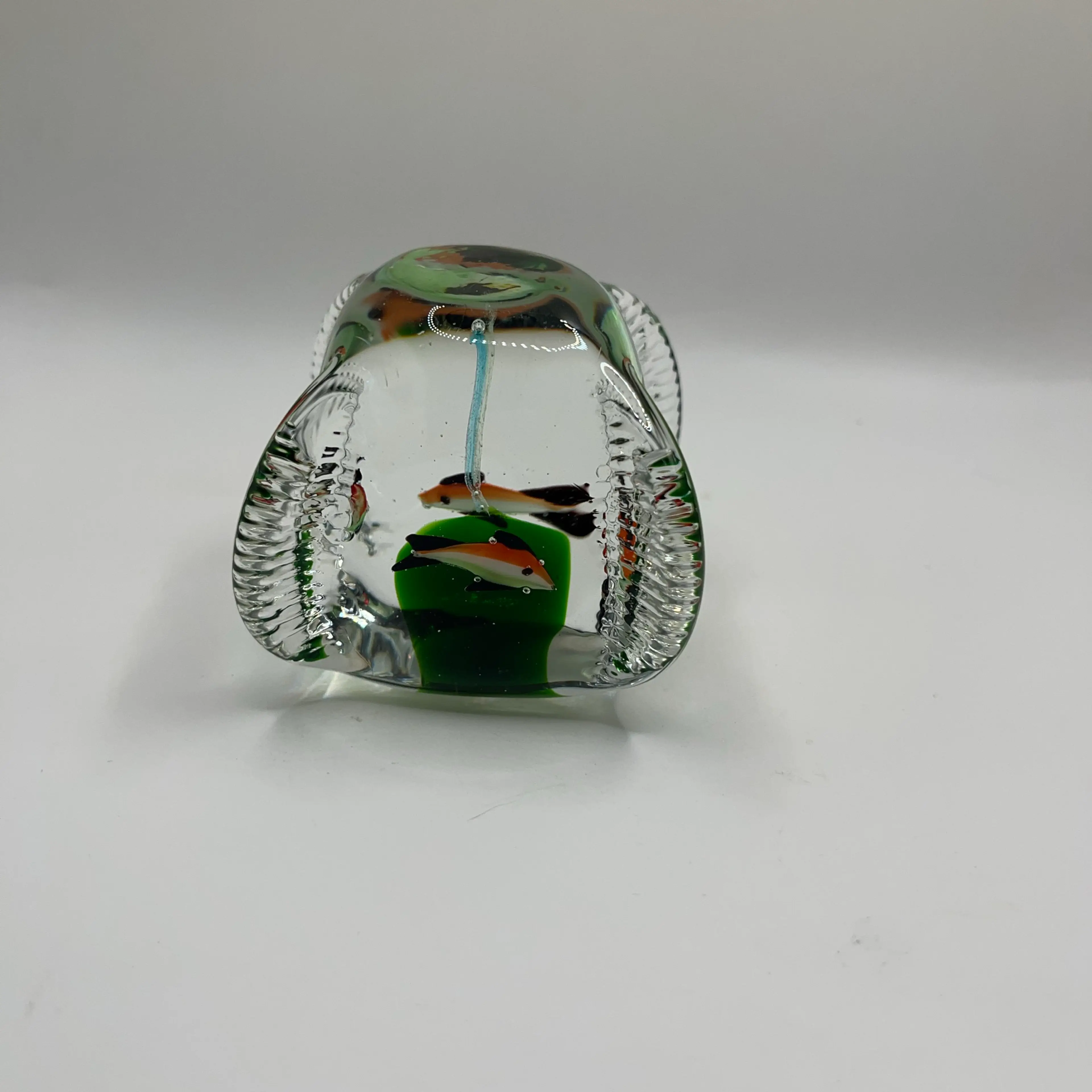 Image 2 of 7