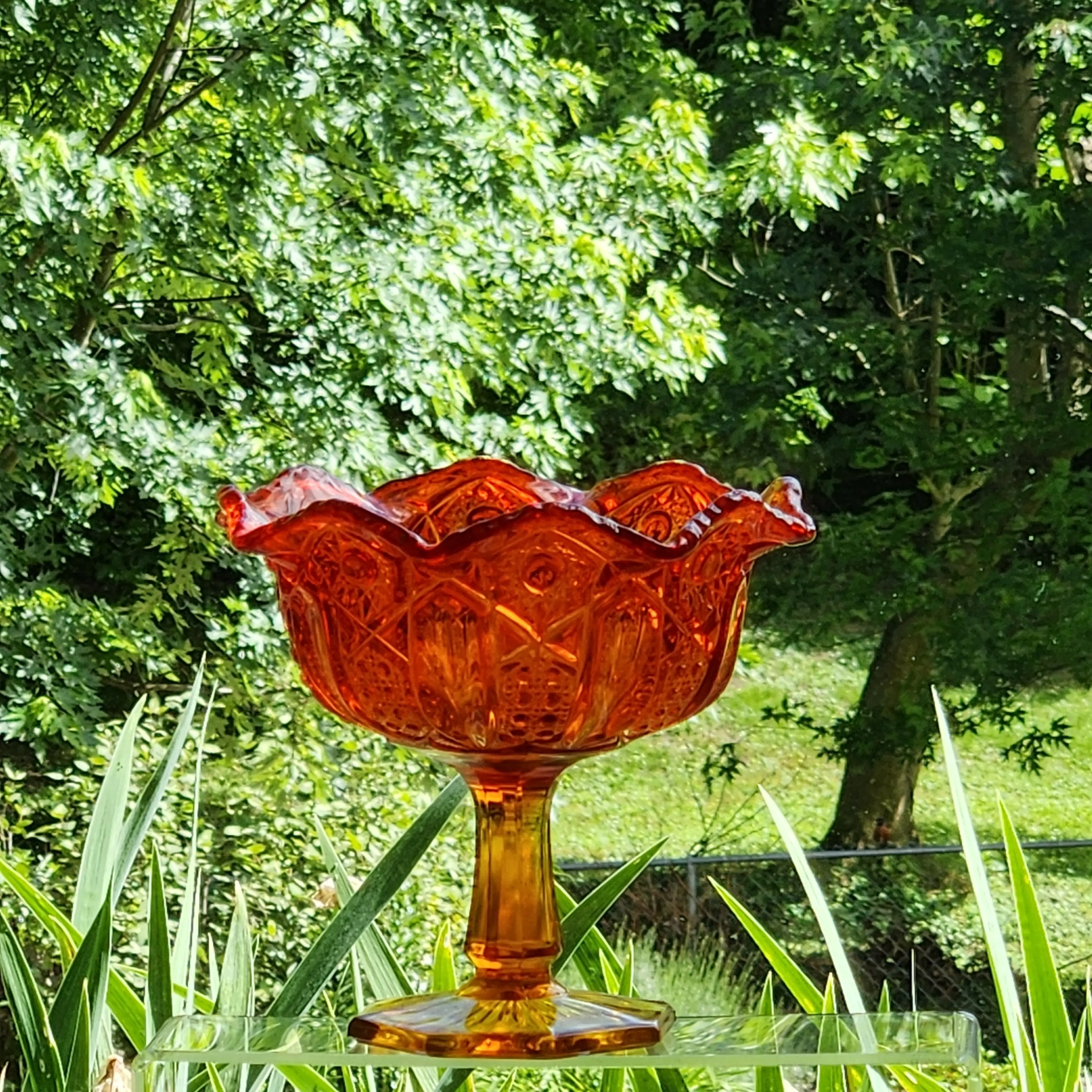 Image 2 of 17
