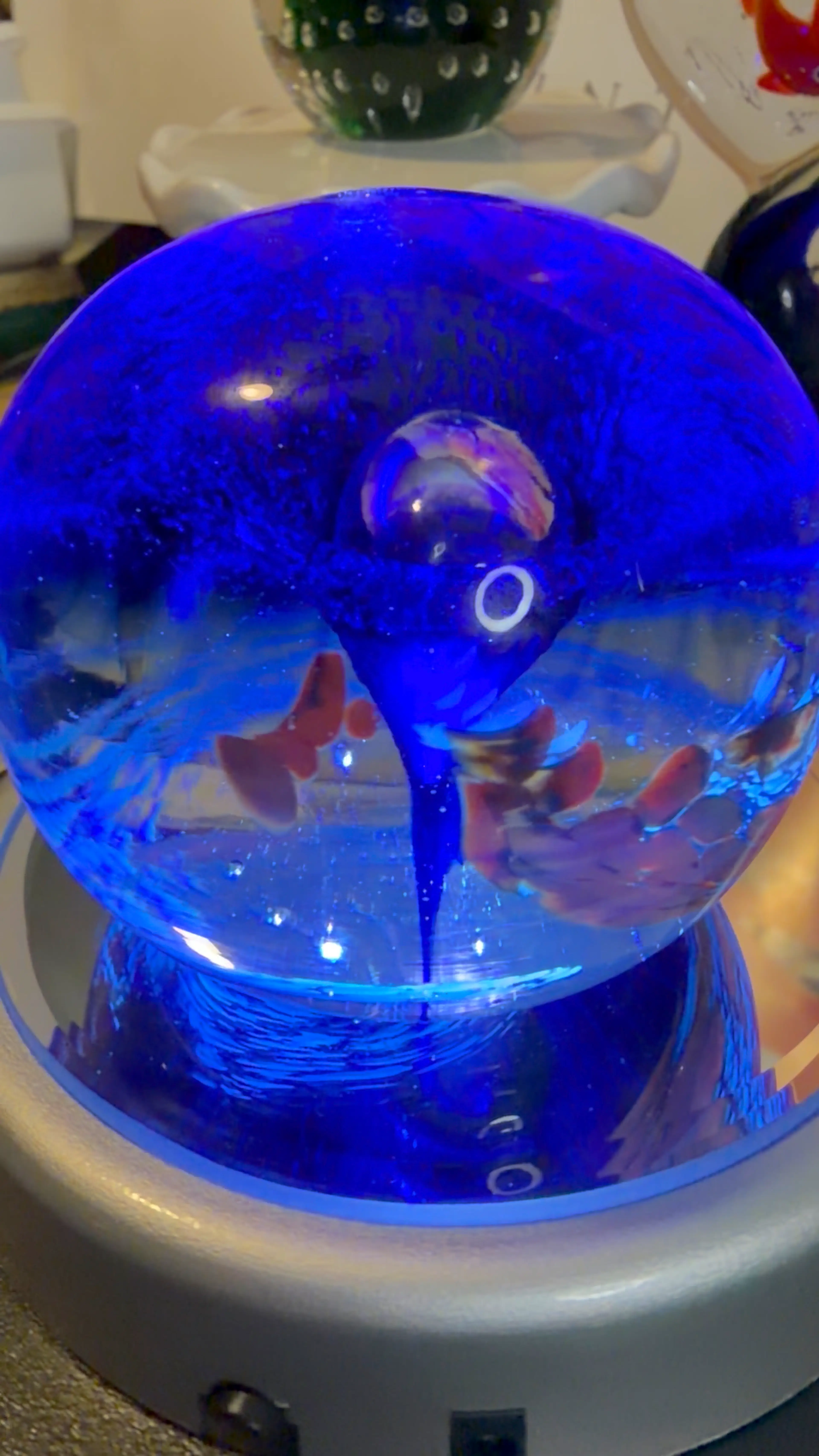 Video 3 of 8