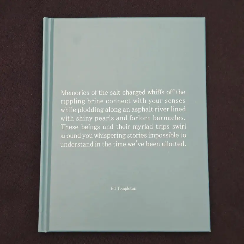 Ed Templeton "Memories Of The Salt Charged Whiffs" Nazraeli Press #95 + SIGNED ILLUSTRATION