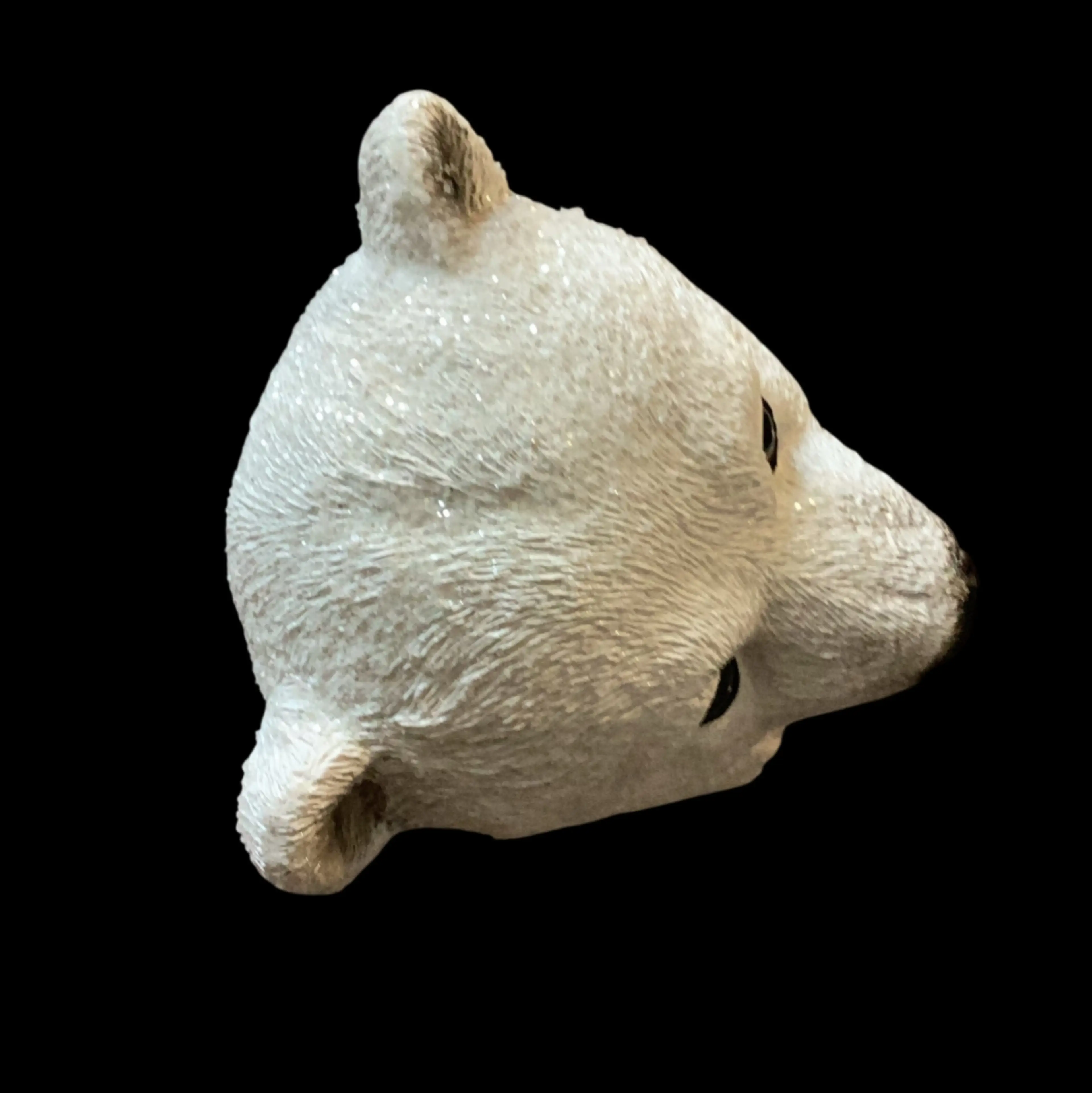 Image 5 of 5