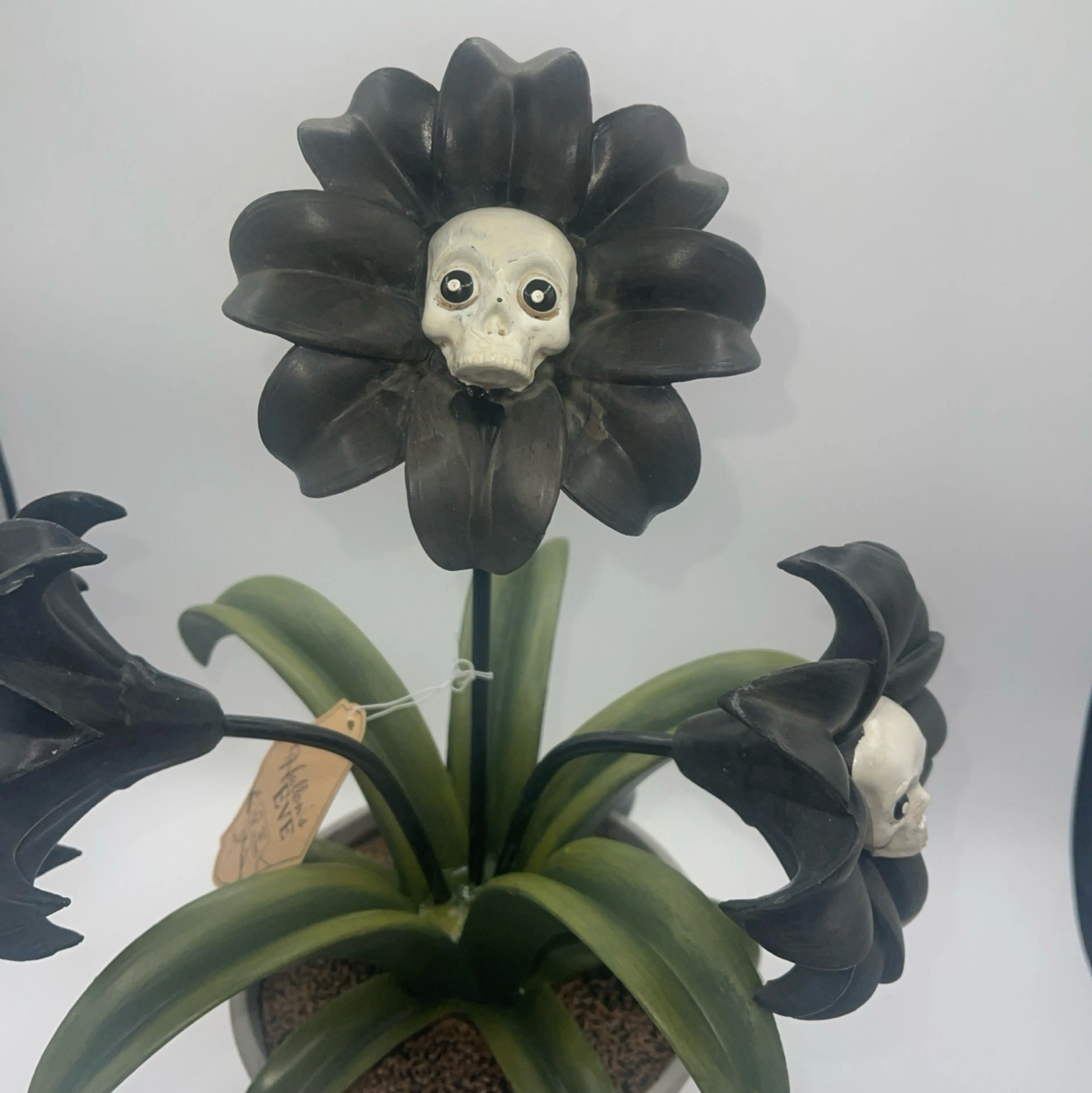 Image 3 of 10
