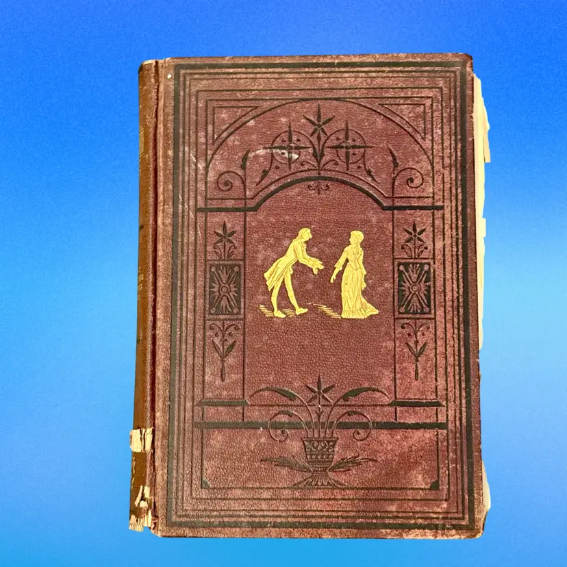 Antique Hardcover Edition The Works of William Carleton Ireland Book Volume I (1881)