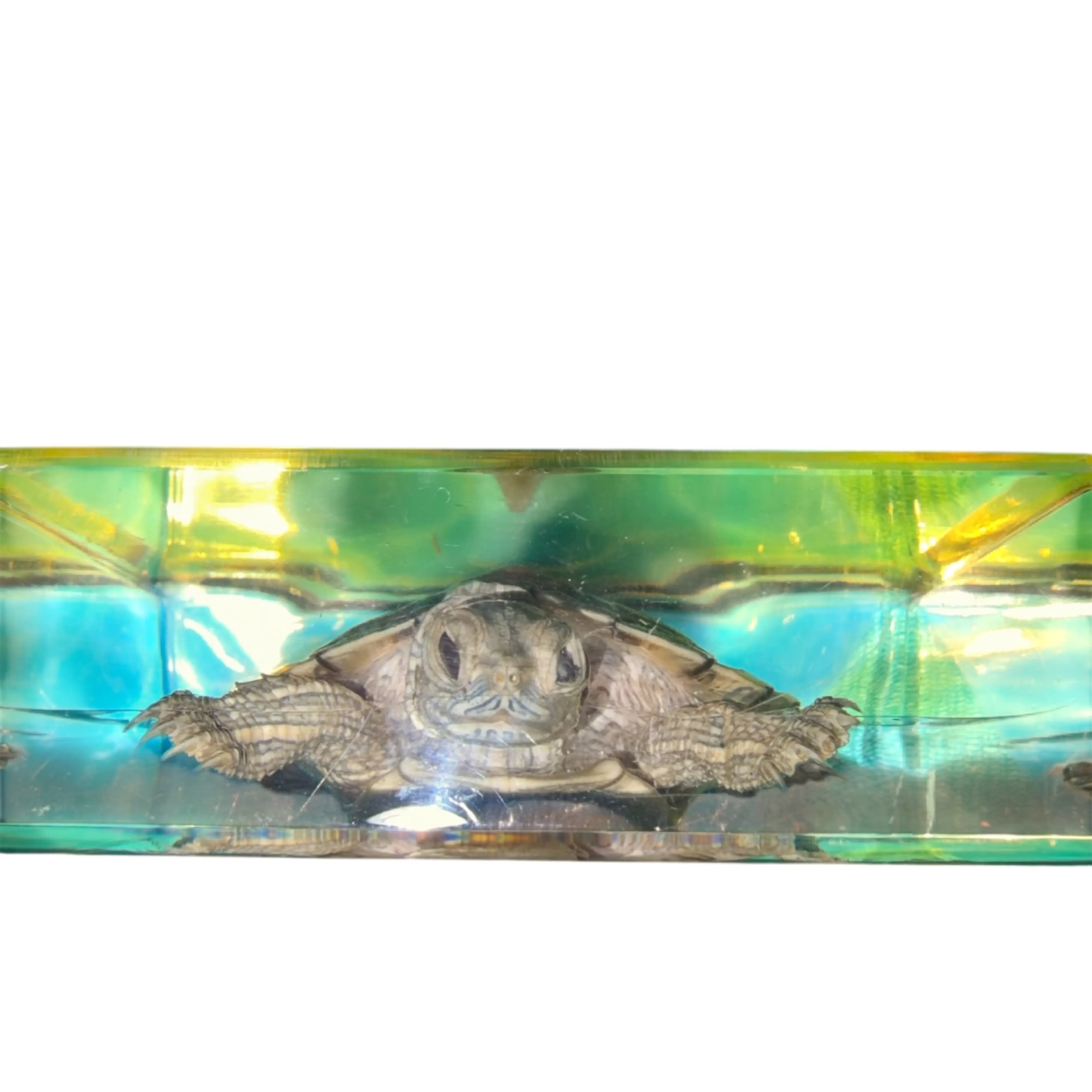 Image 3 of 8