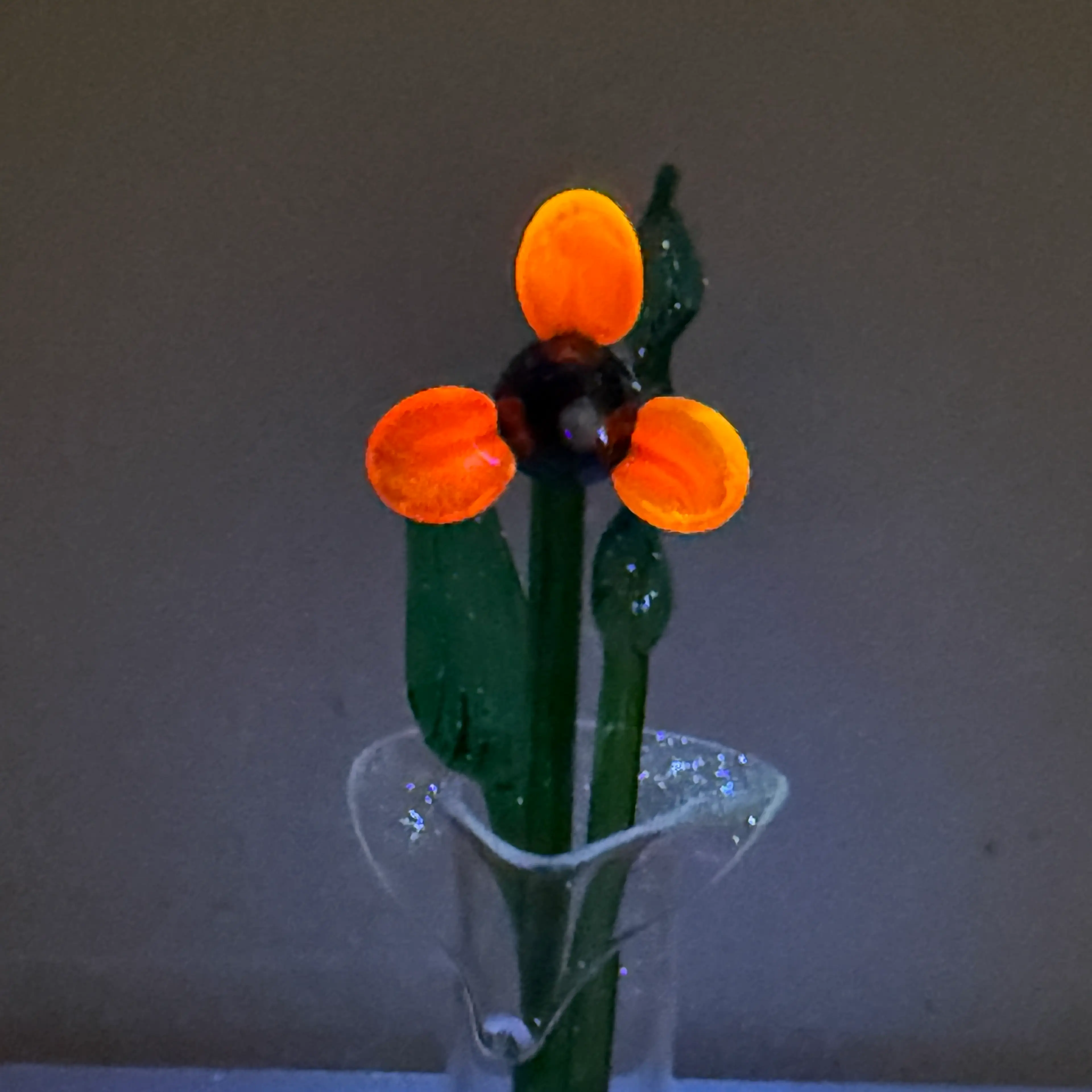 Image 4 of 7