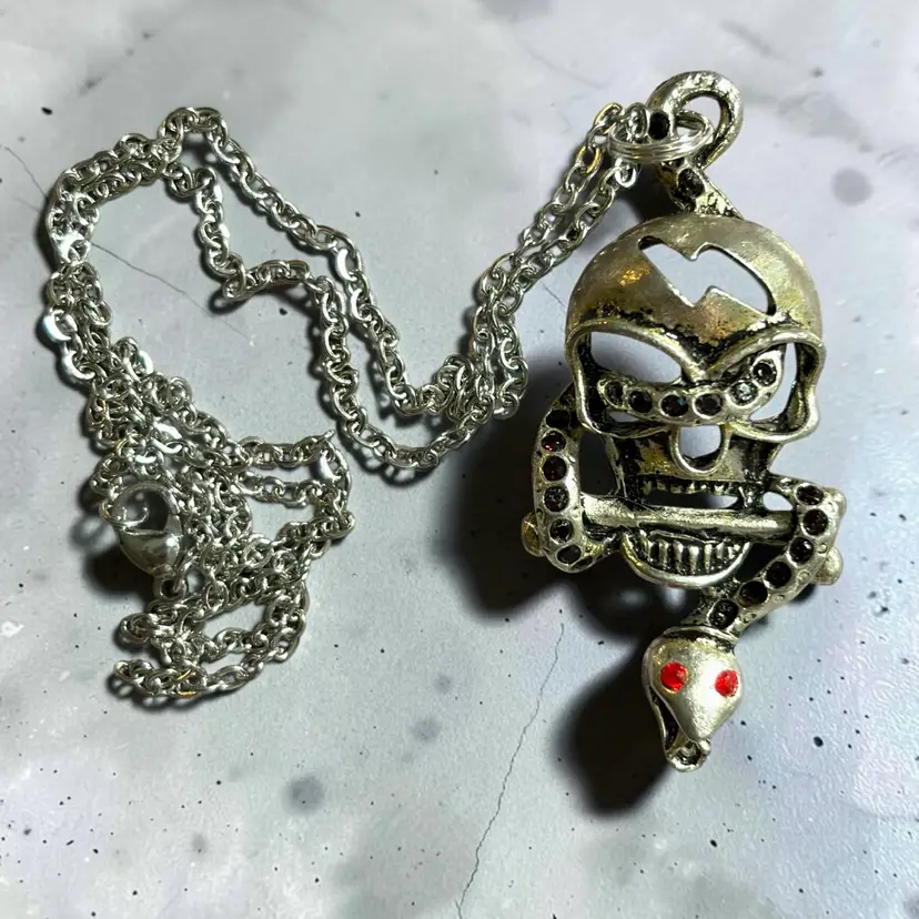 Skull & Snake Pendant On 20” Chain