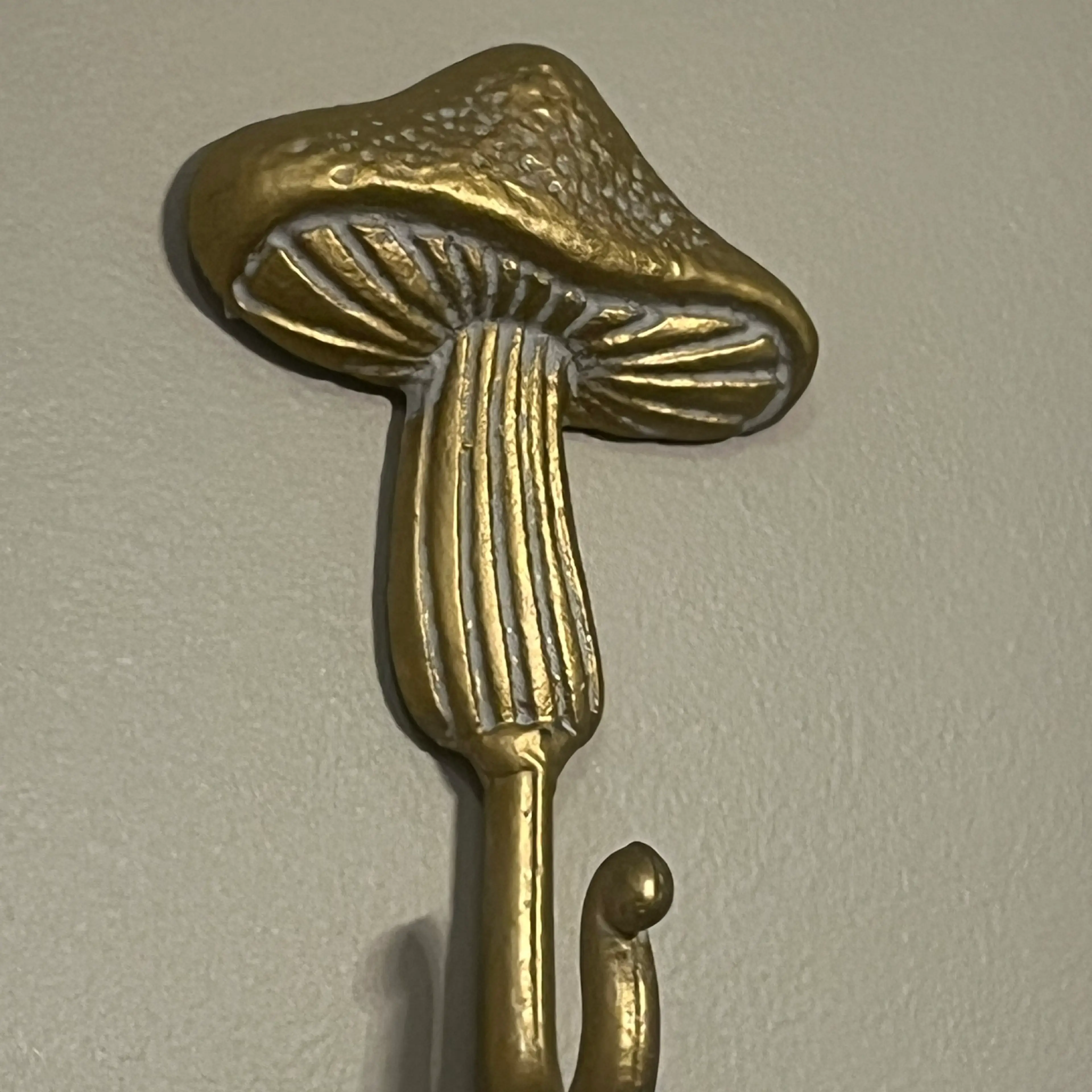 Image 2 of 5