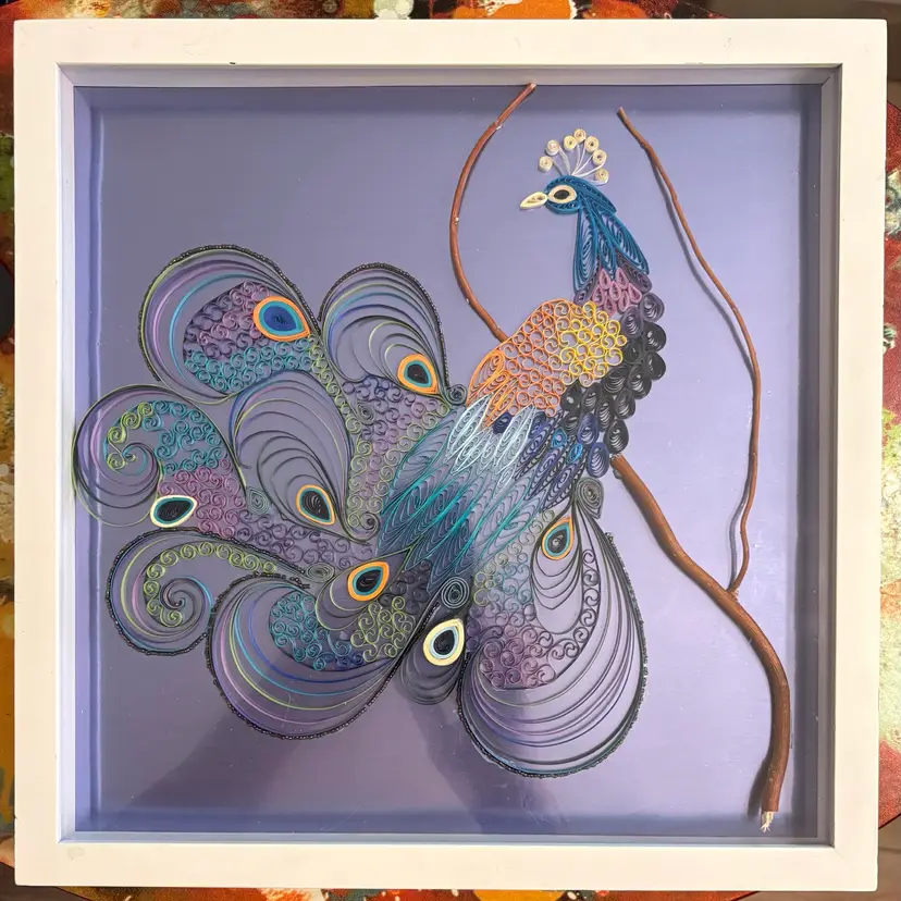 Original Quilled Peacock On Reflective Paper In 12 X 12” Shadow Box Frame