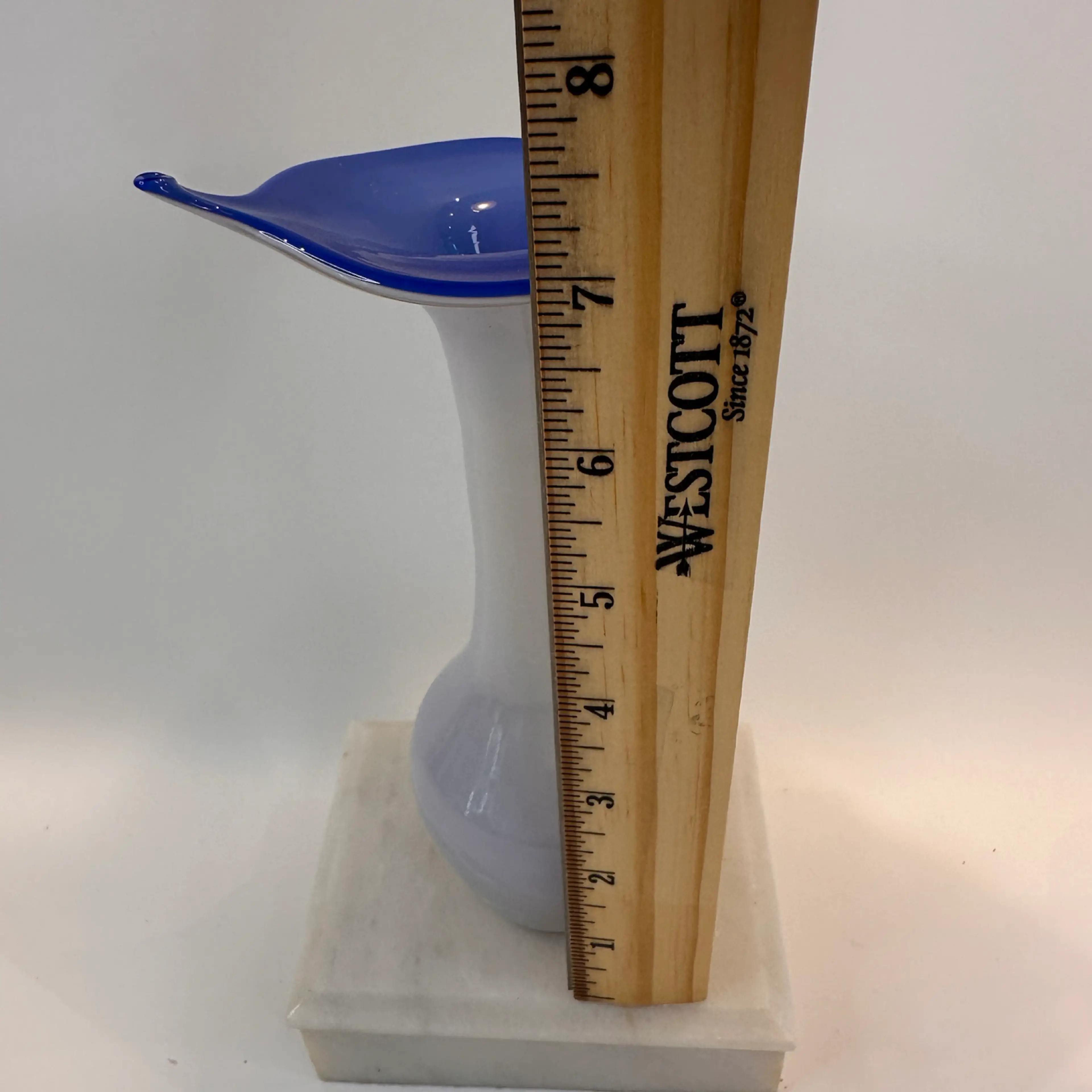 Image 5 of 6