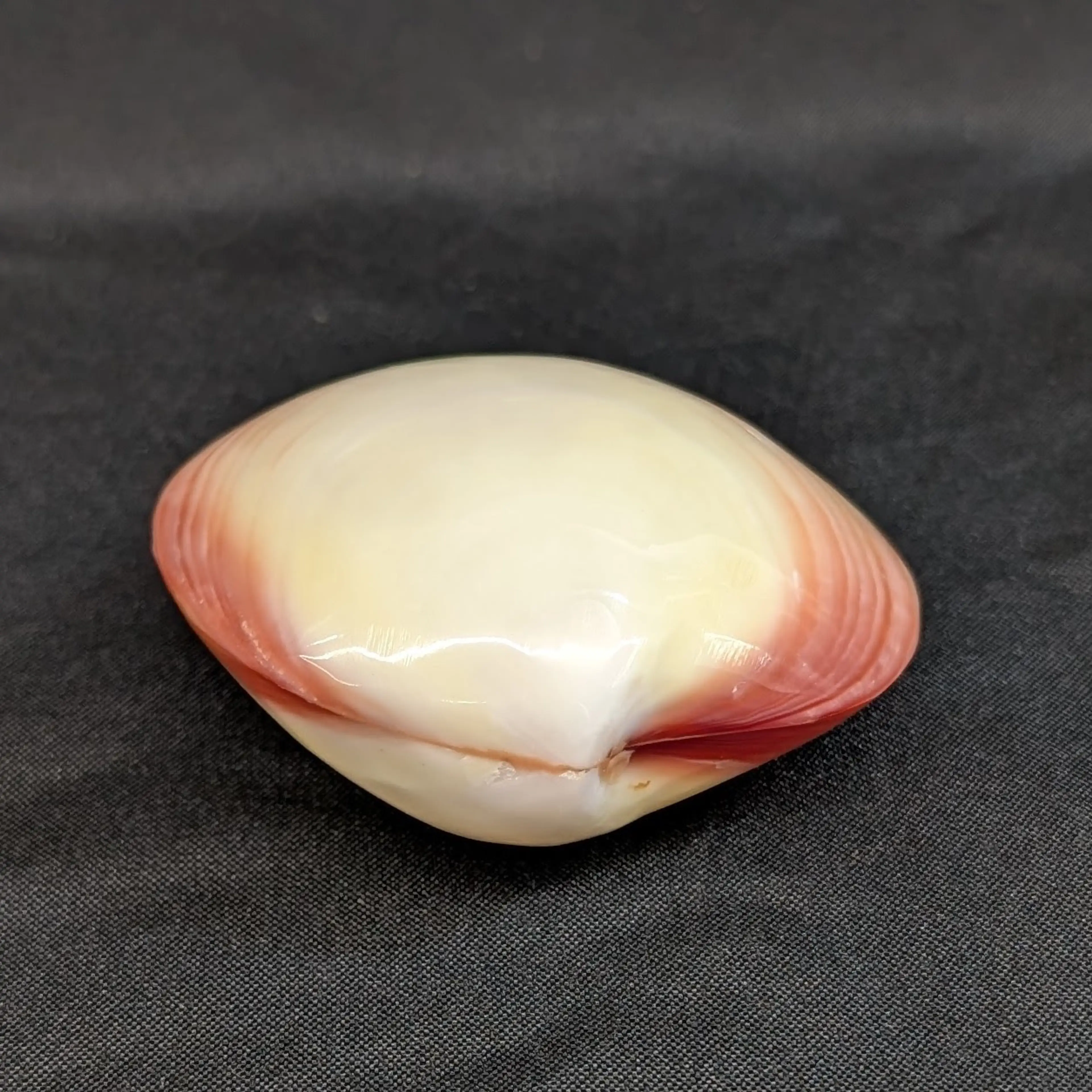 Image 4 of 10
