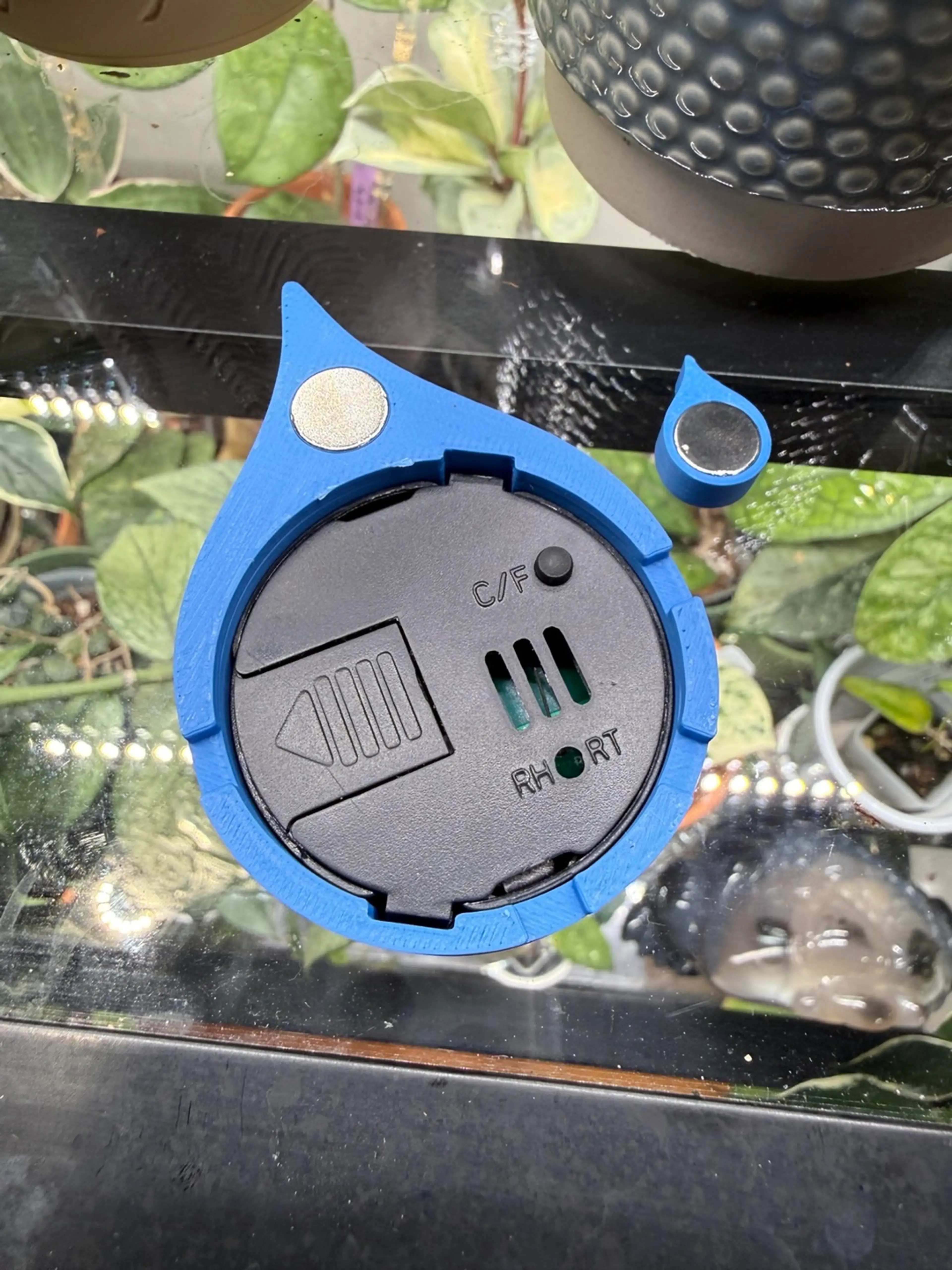 Image 4 of 5