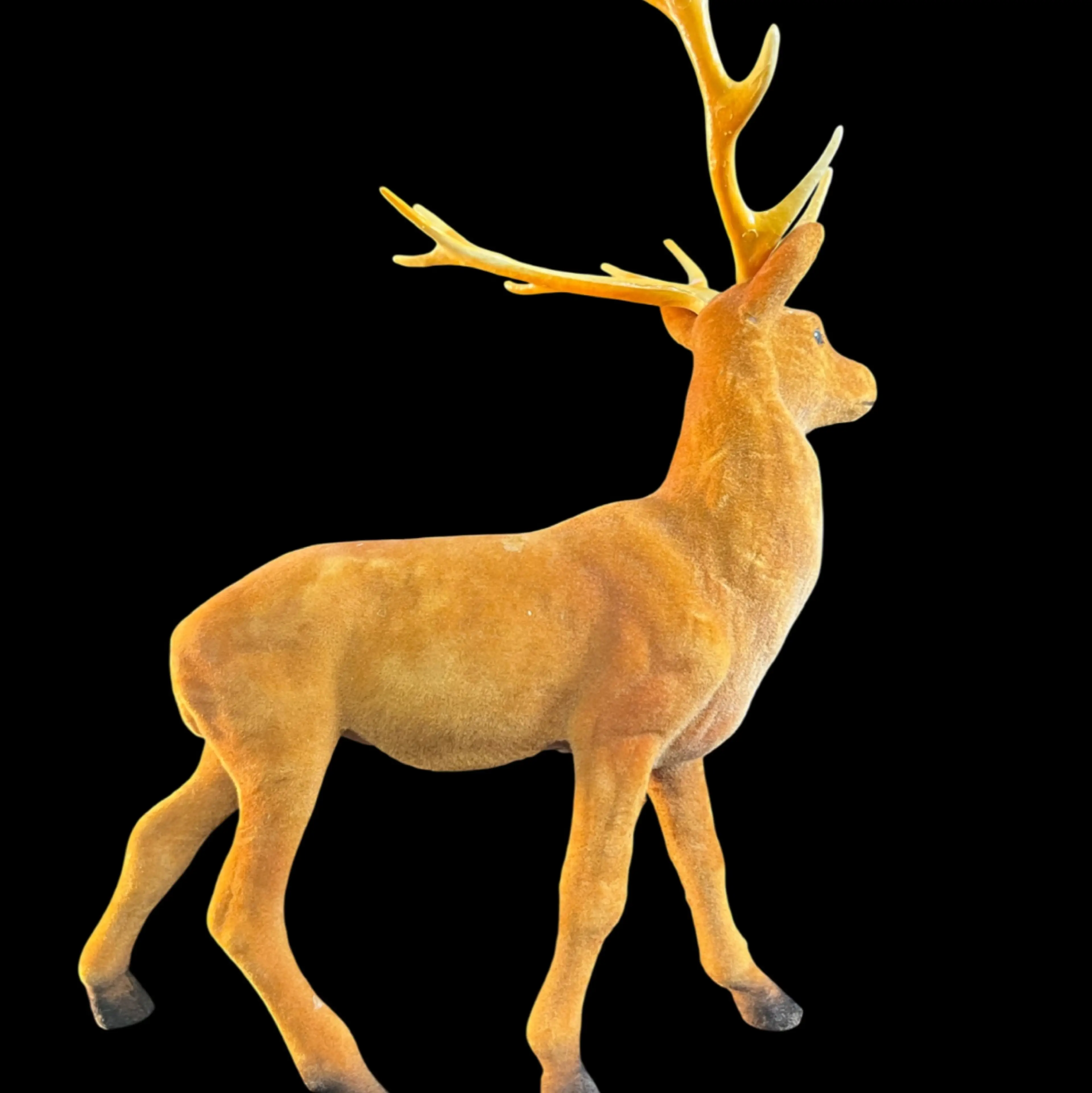 Image 3 of 8