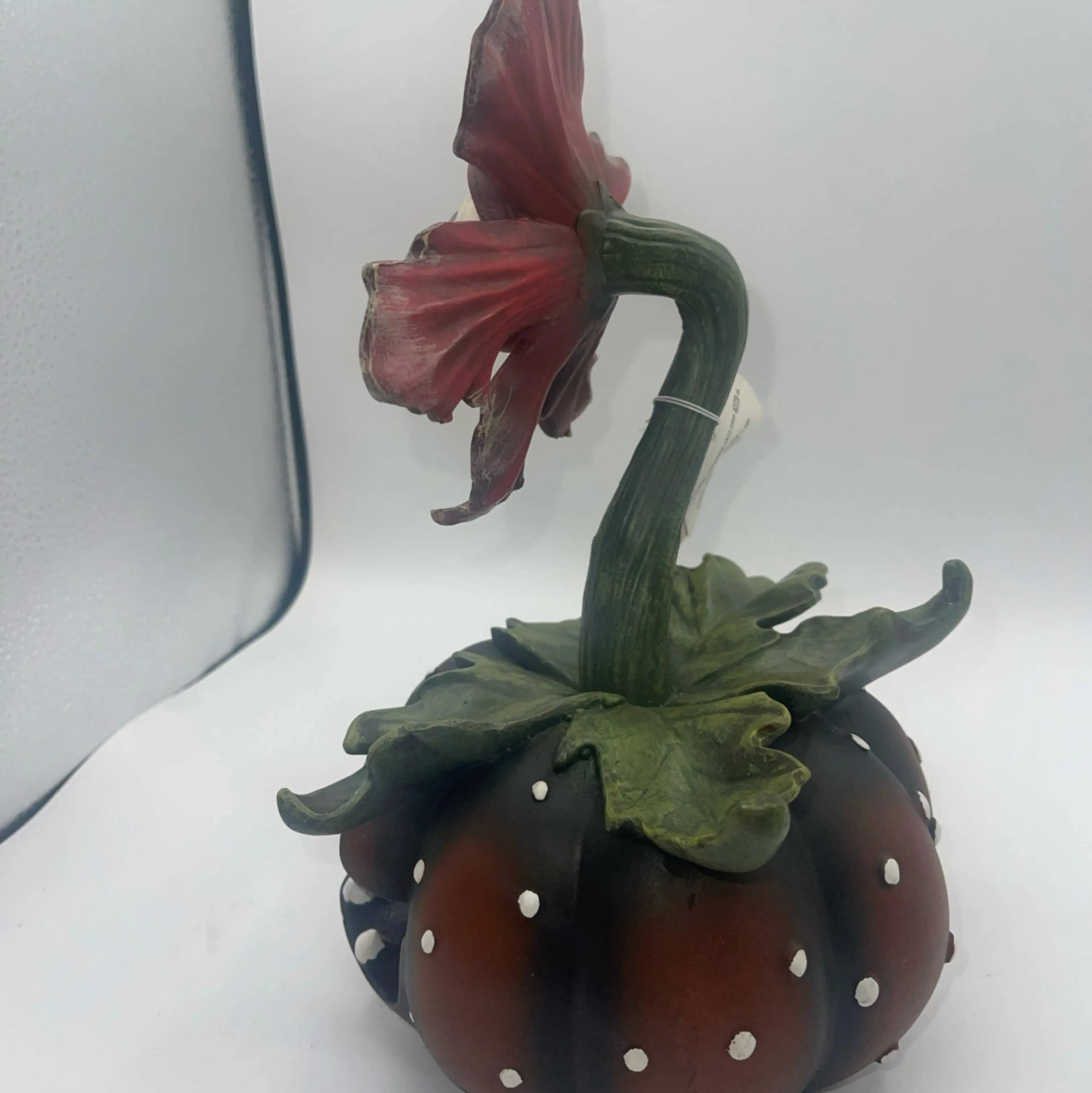 Image 5 of 10