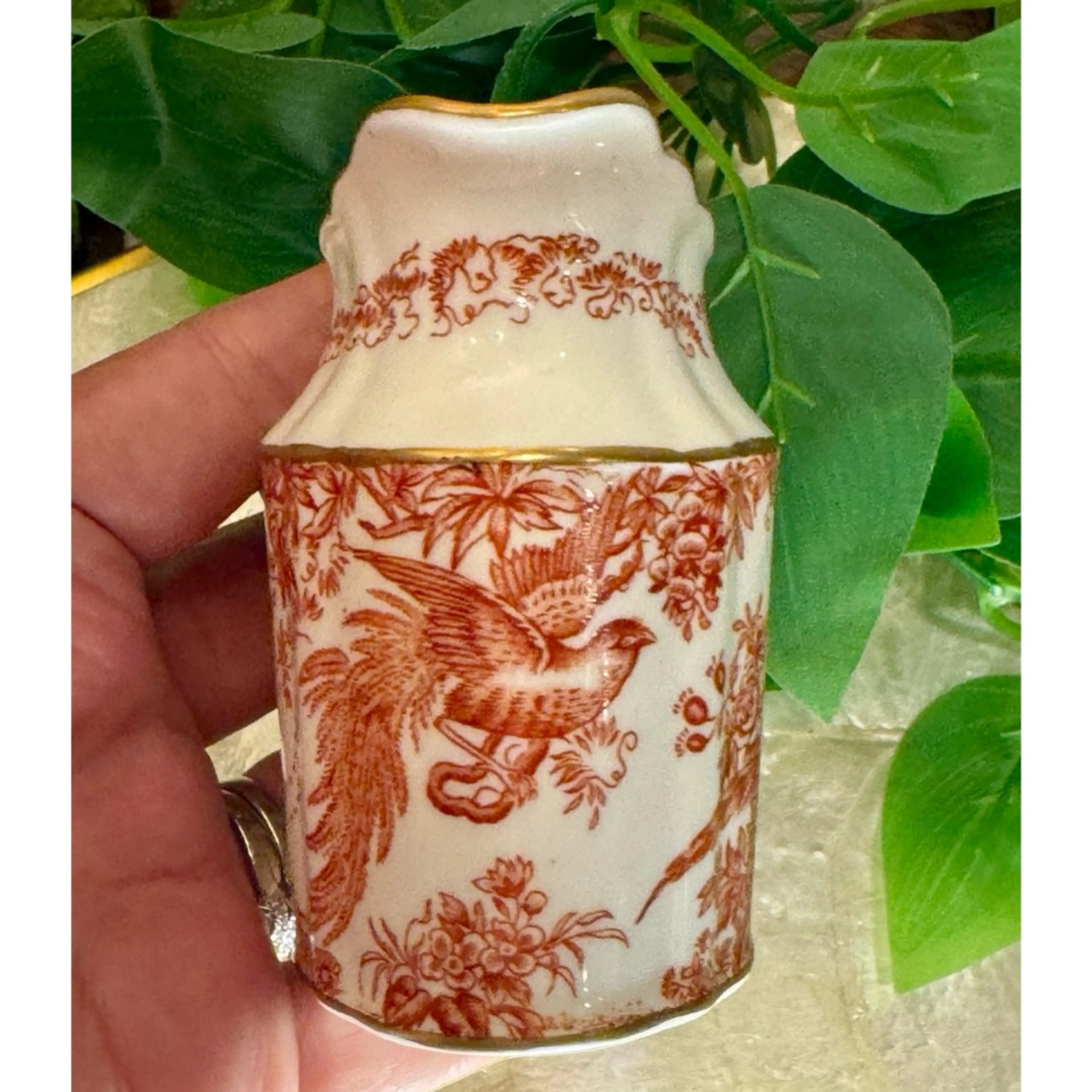 Image 5 of 8