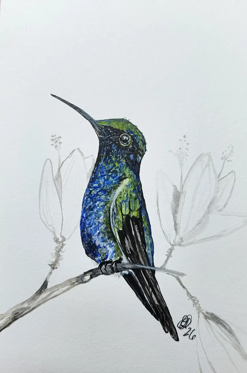 Hummingbird Original Watercolor Painting Signed By The Artist 4x6 Free Shipping