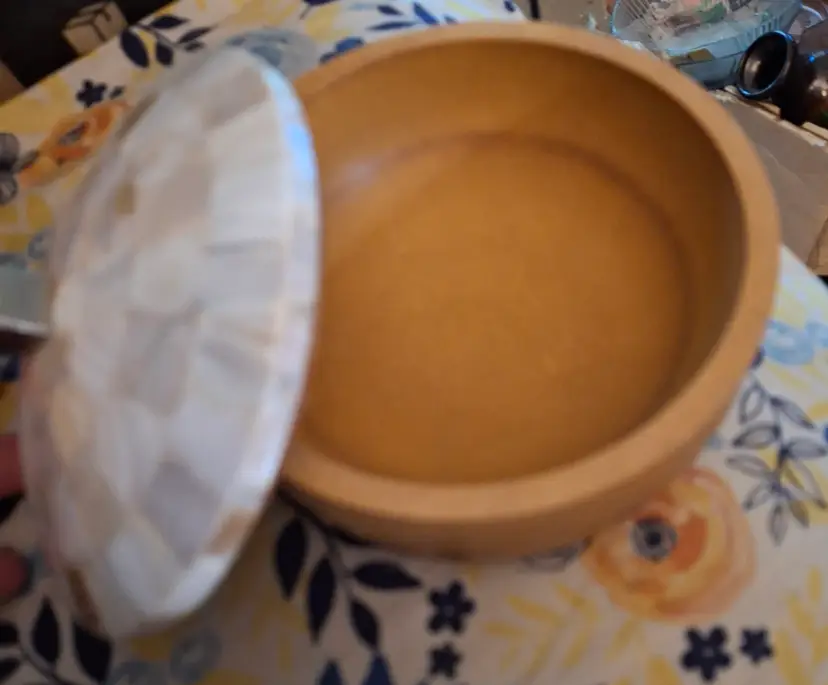 Mela Artisans Concha Trinket Box