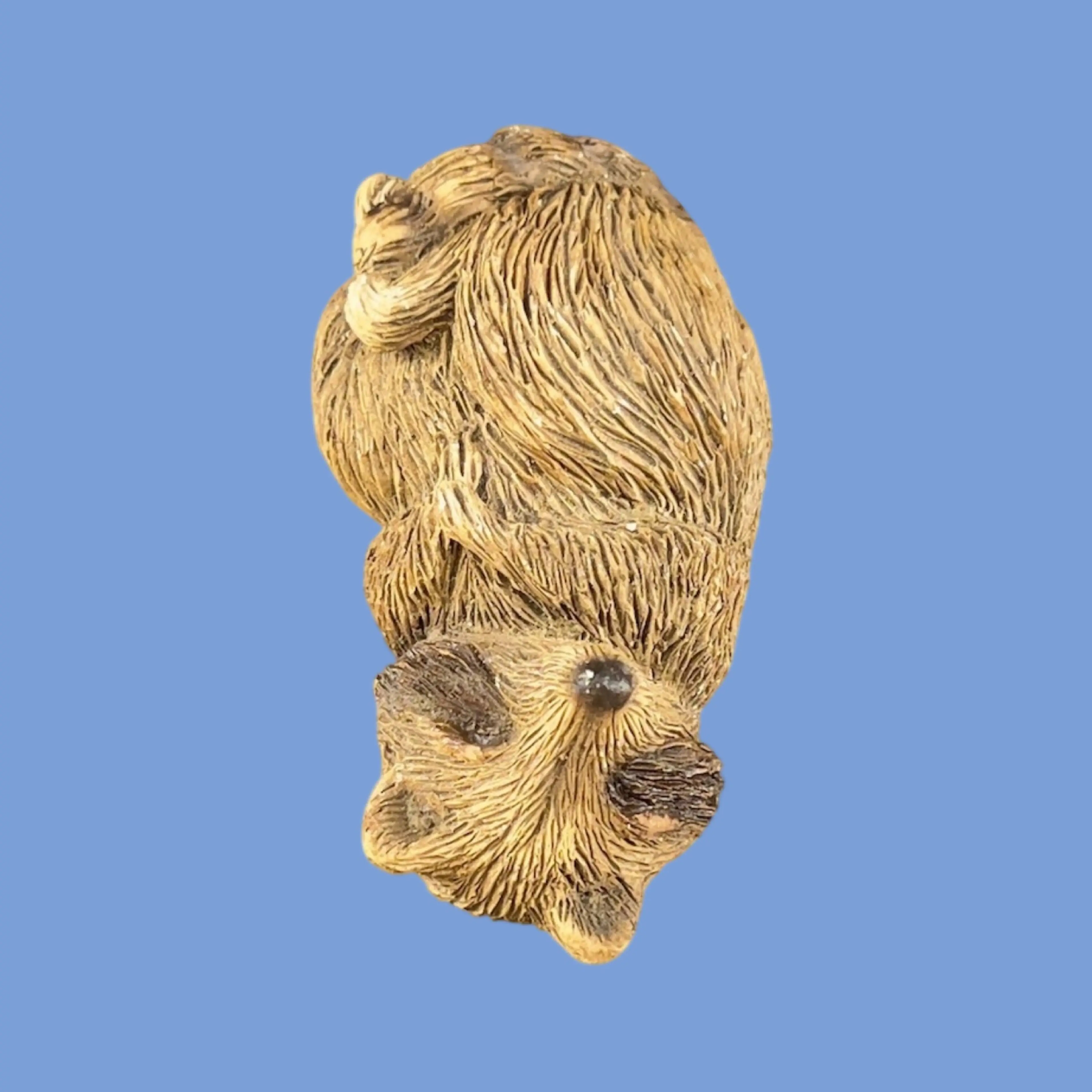 Image 5 of 9