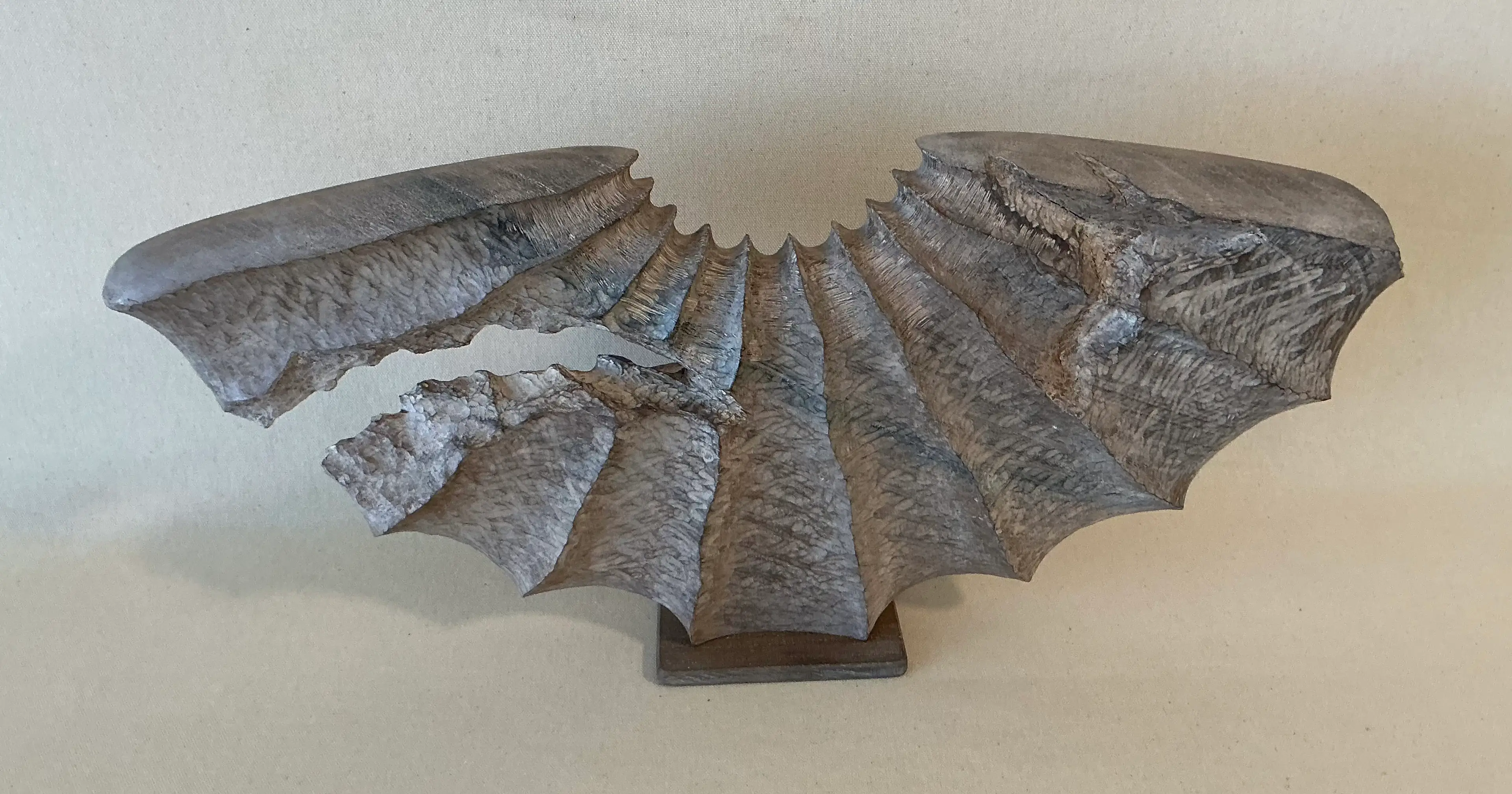 Image 3 of 5