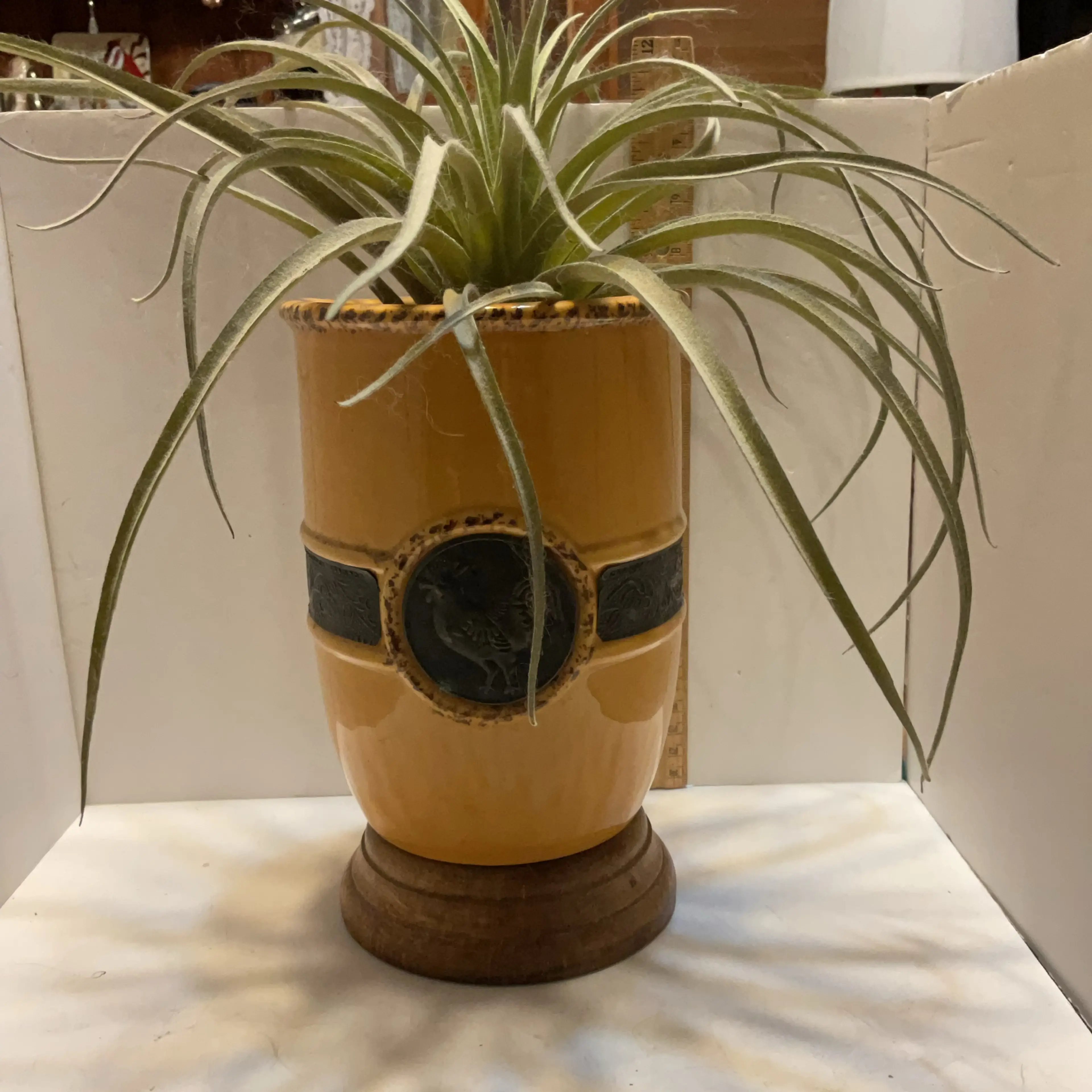 Image 1 of 7