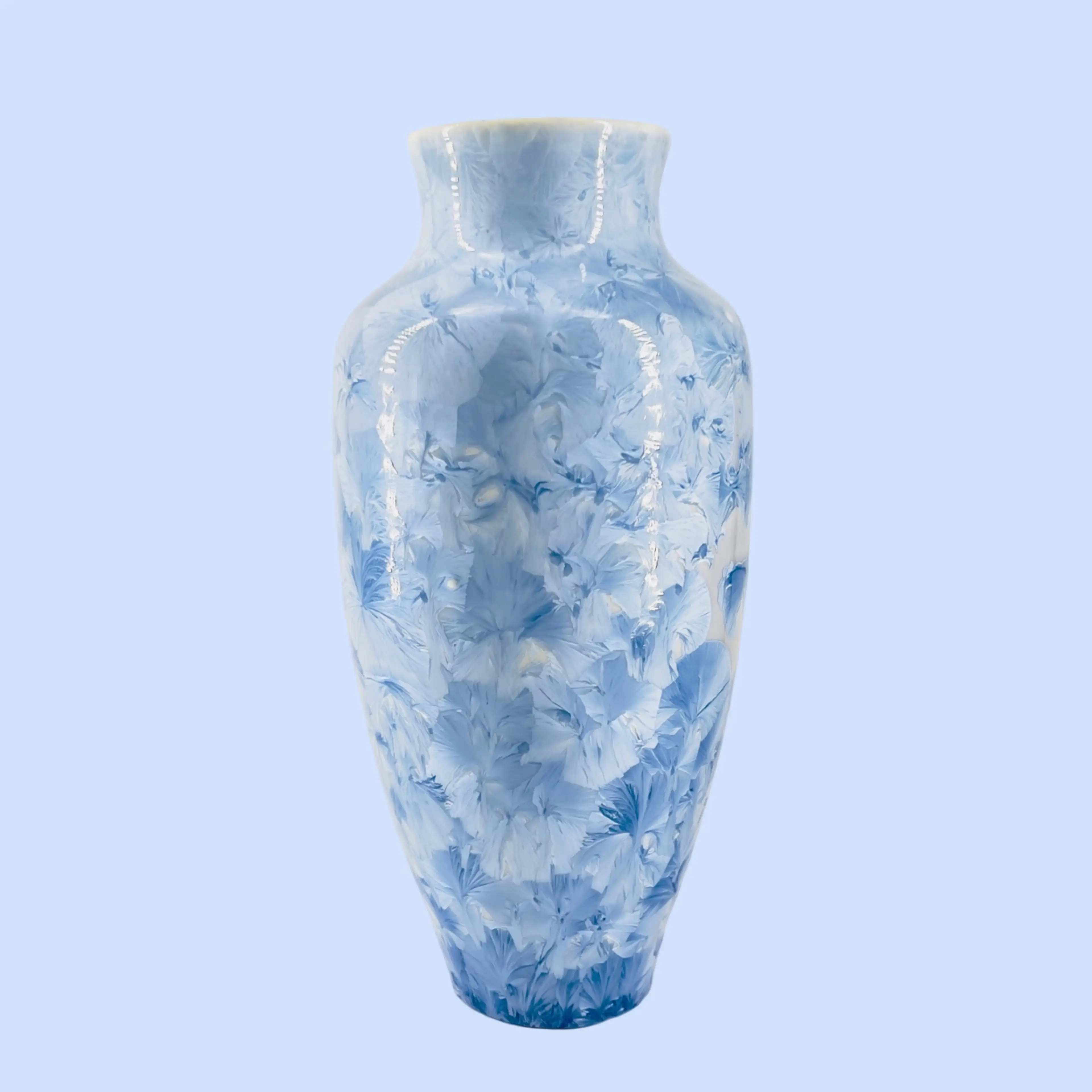 Image 1 of 14