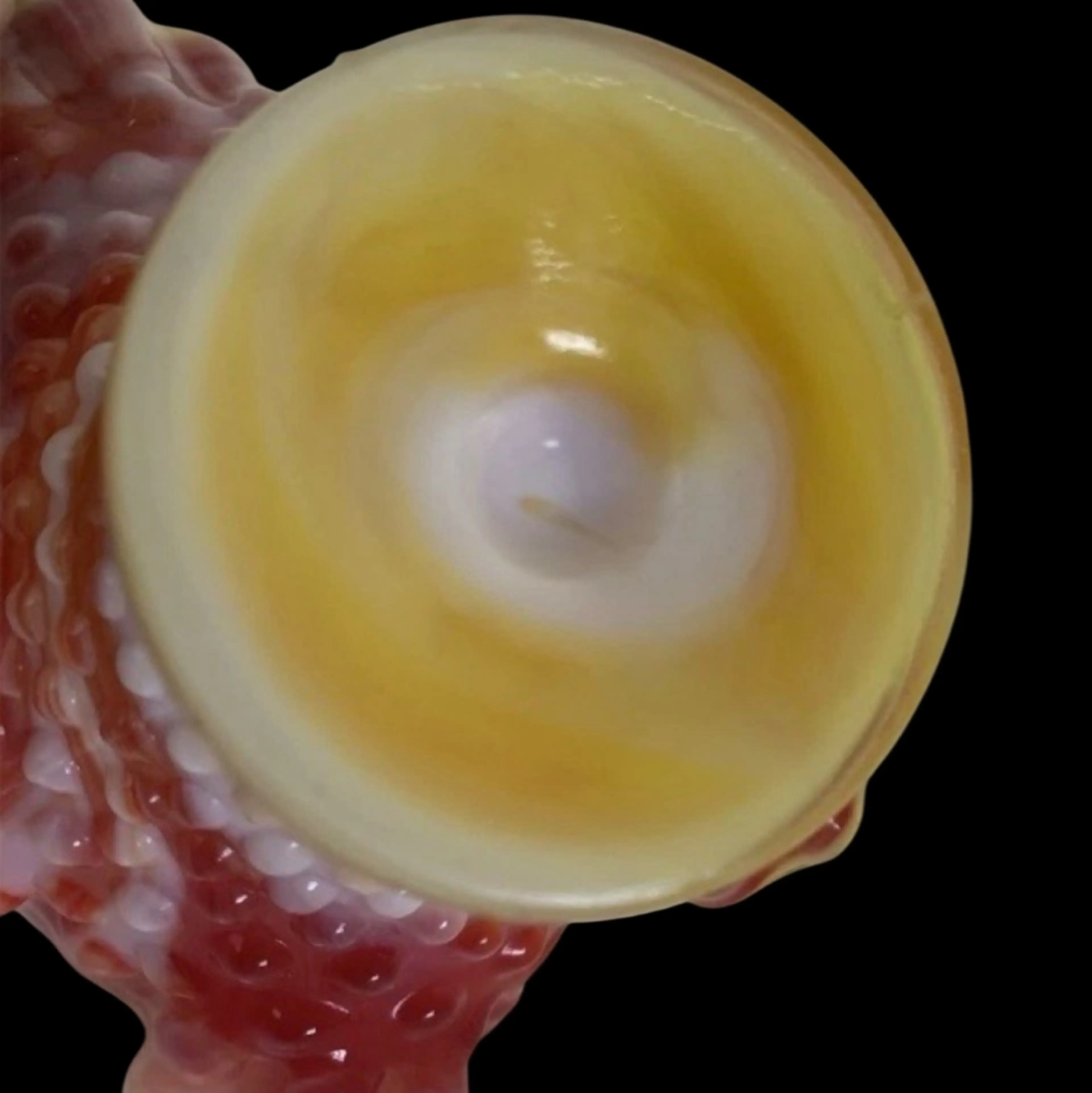 Image 3 of 4