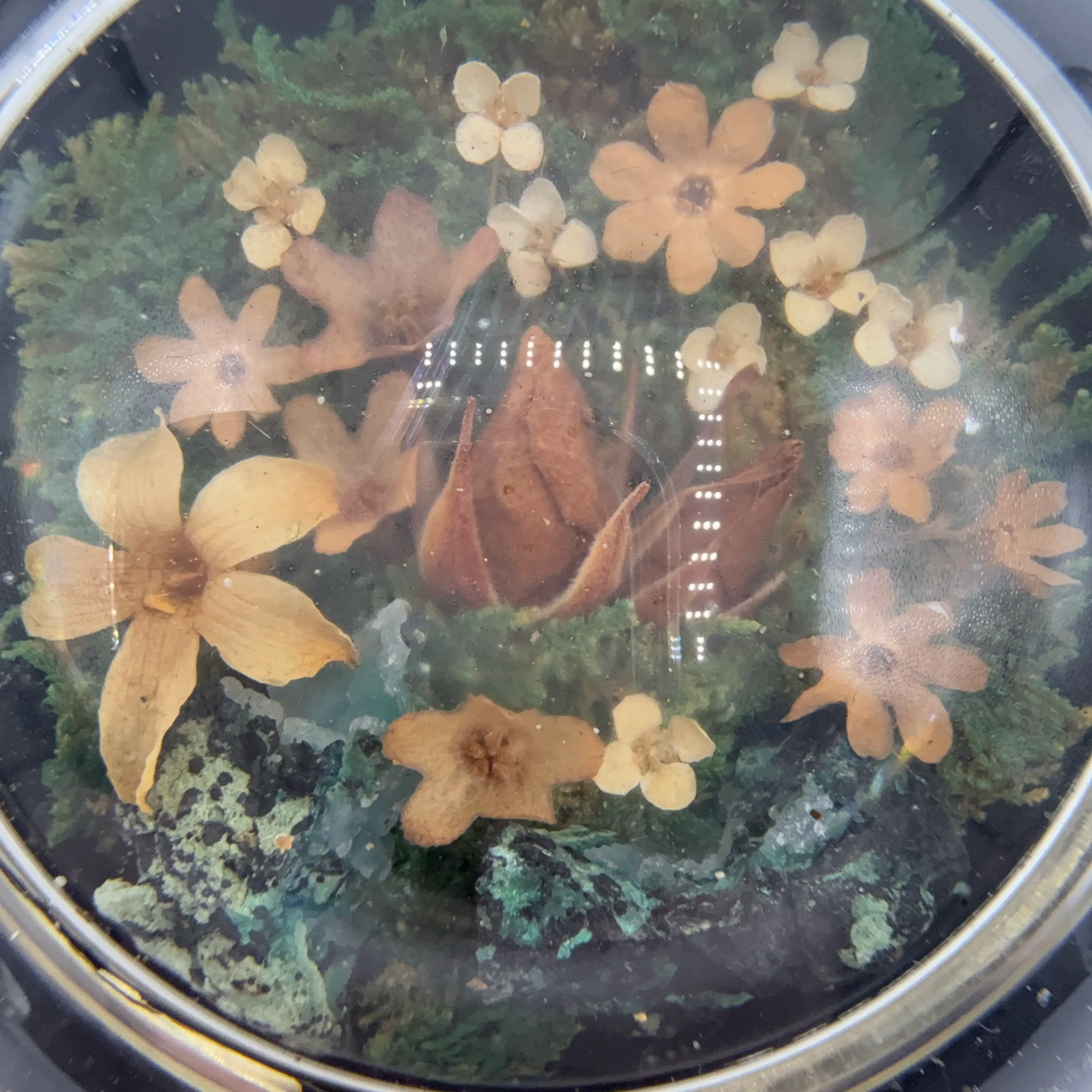 Image 2 of 3