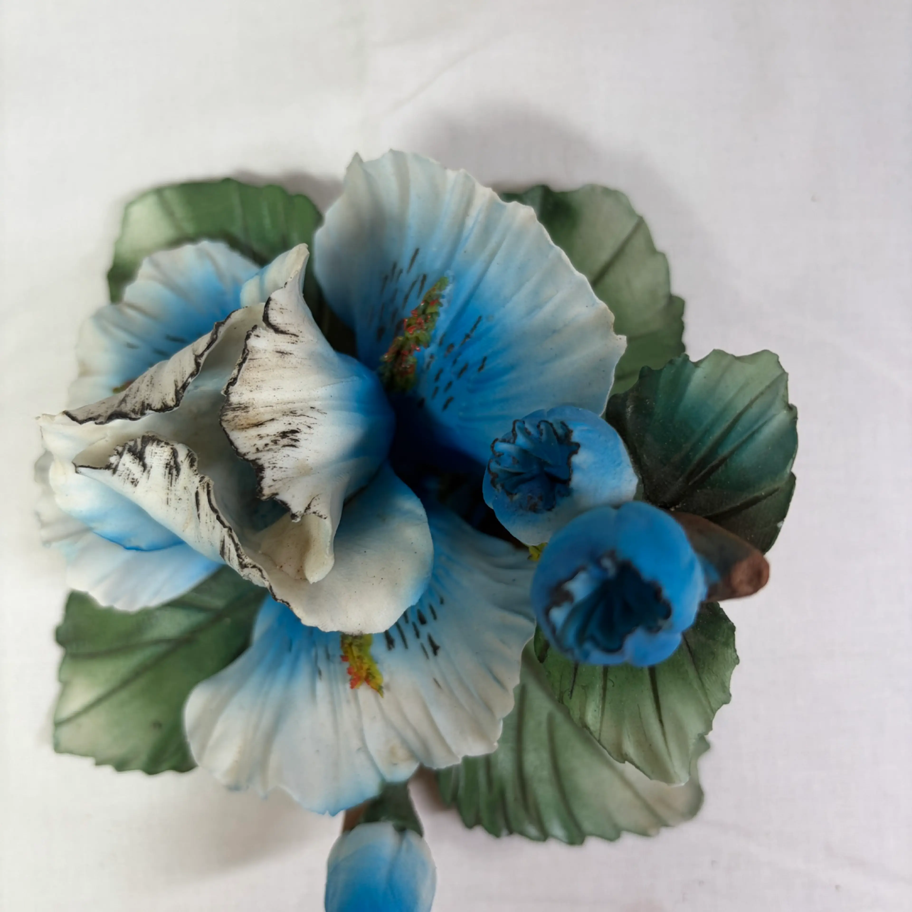 Image 5 of 6