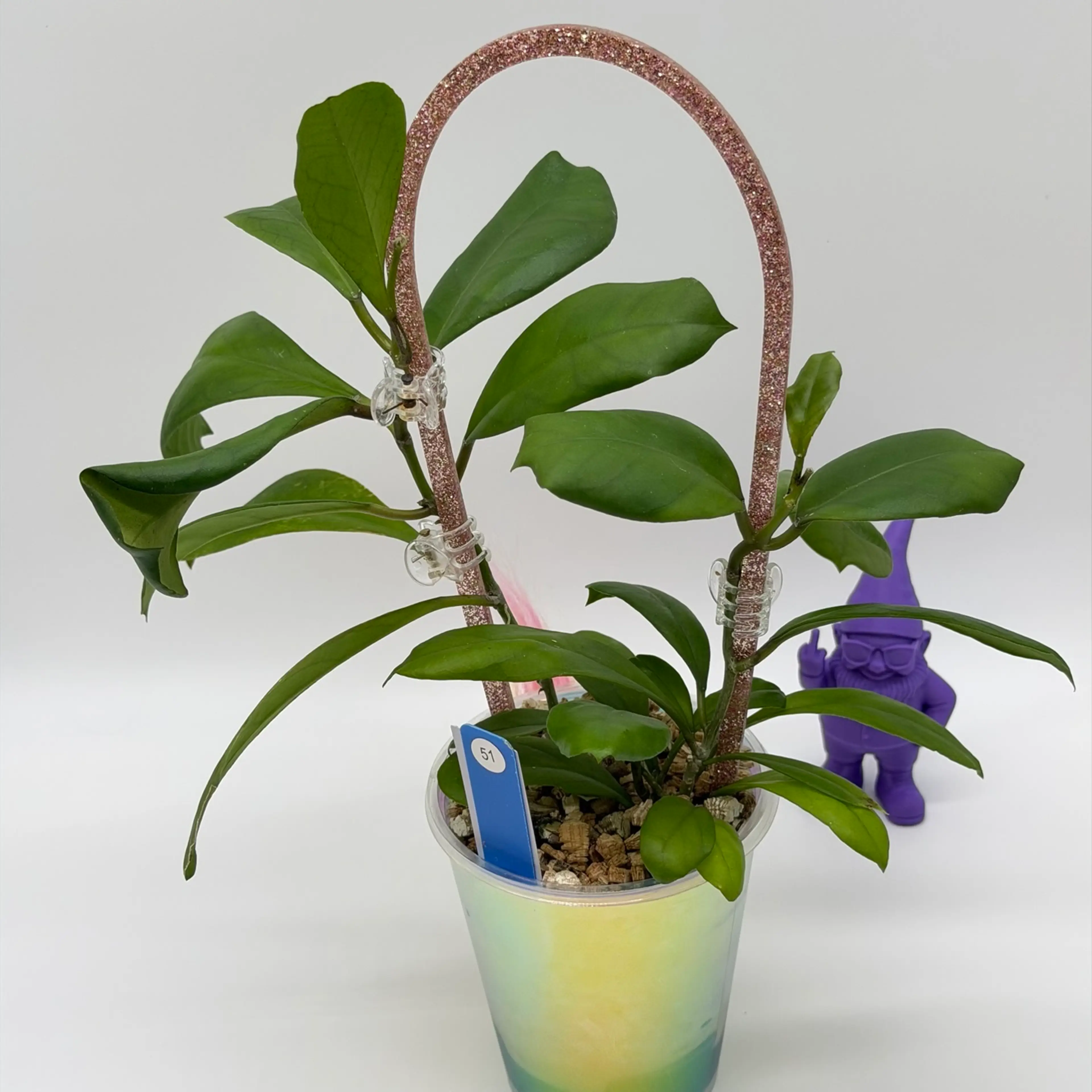 Image 3 of 4