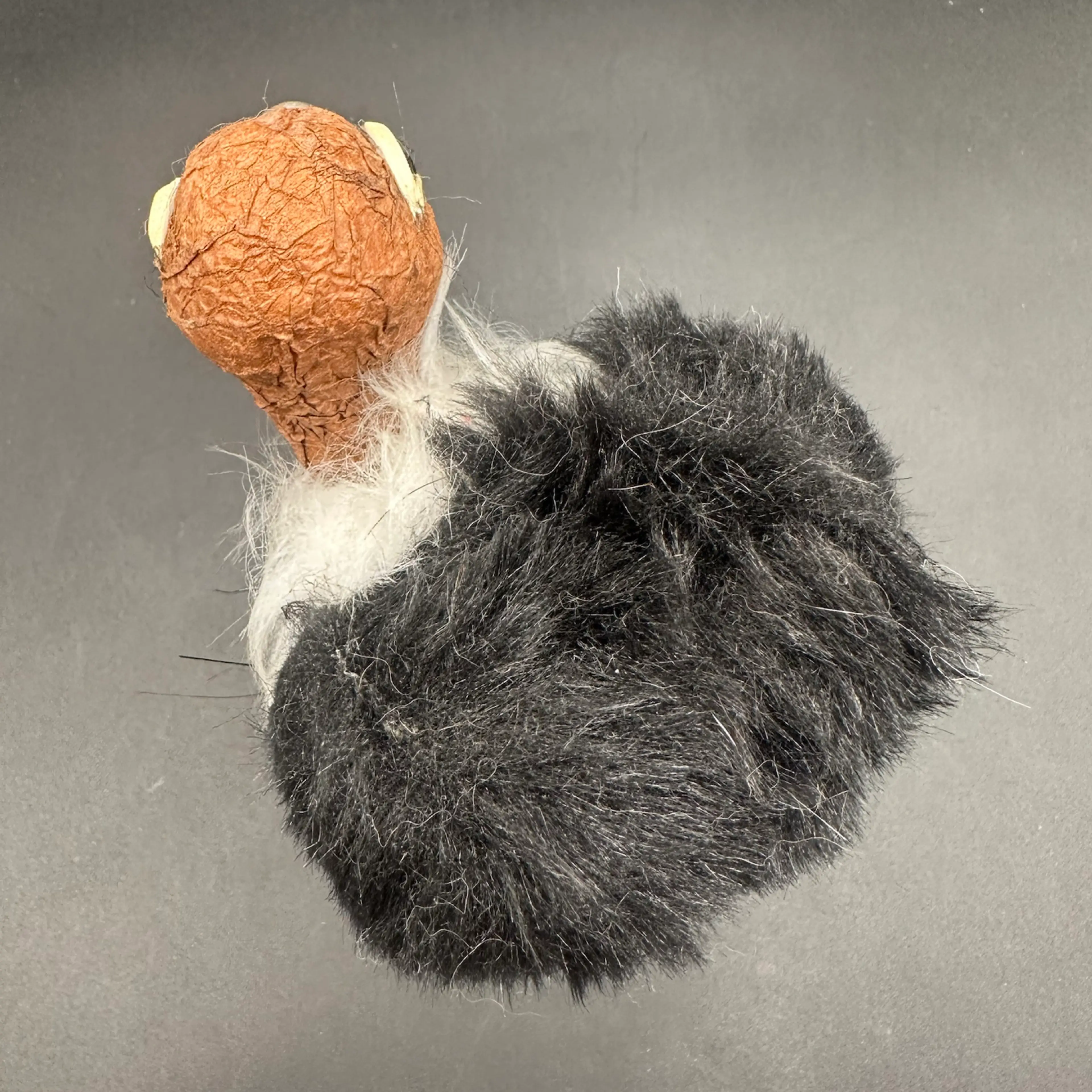 Image 4 of 5
