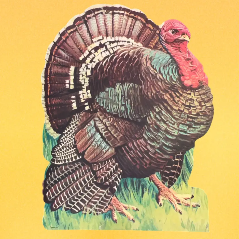 Vintage Eureka Turkey Die Cut 13” x 9.5”