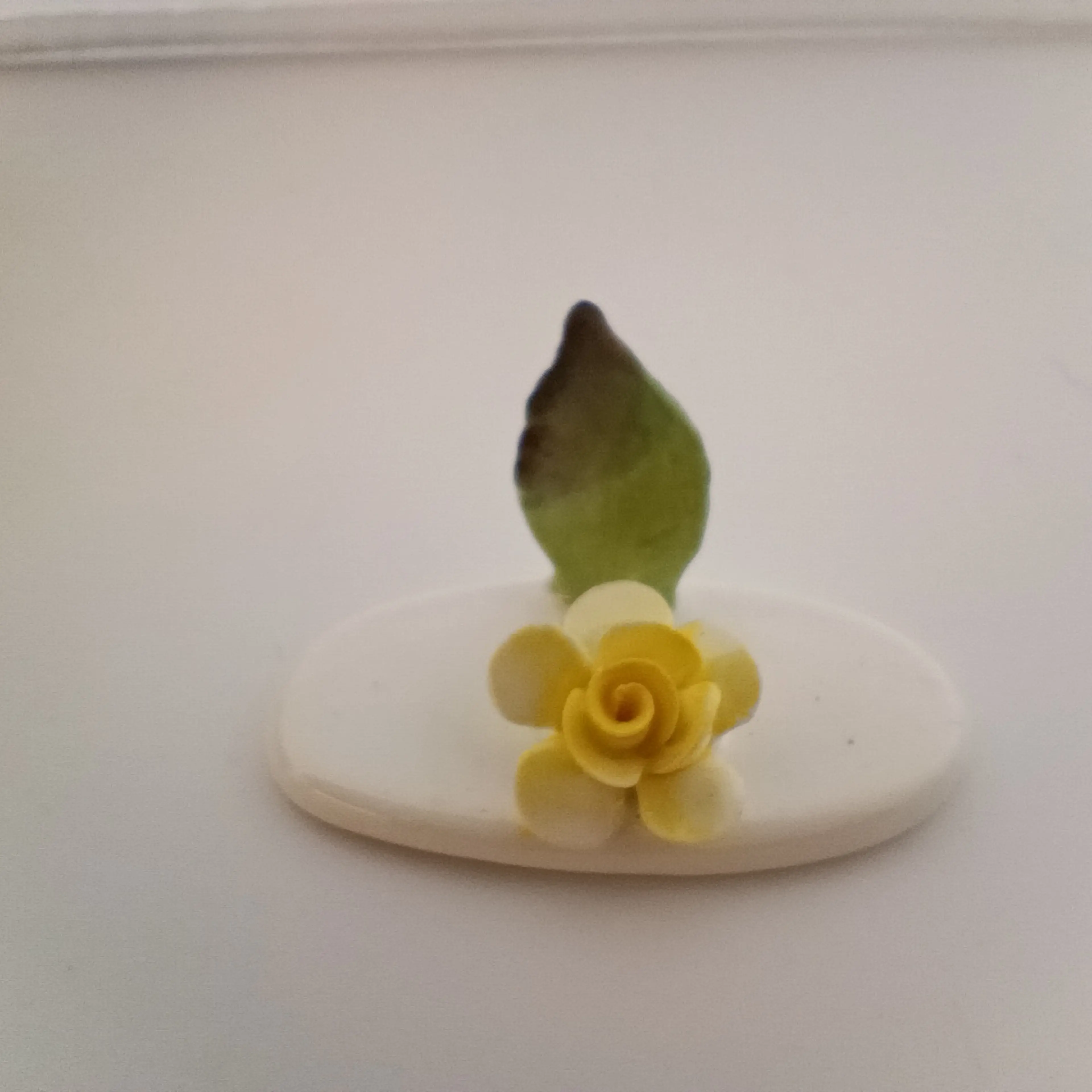 Image 2 of 7