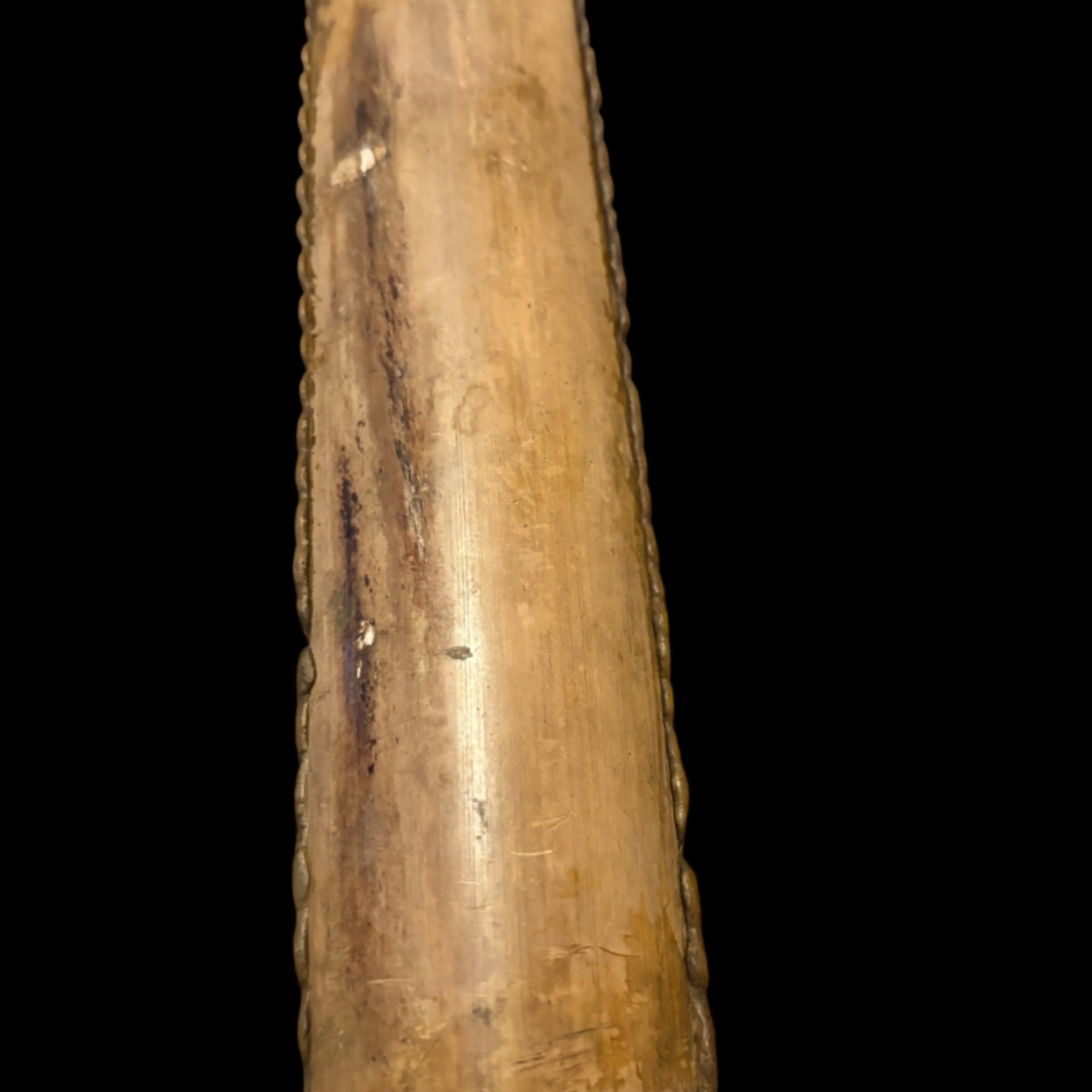 Image 5 of 5