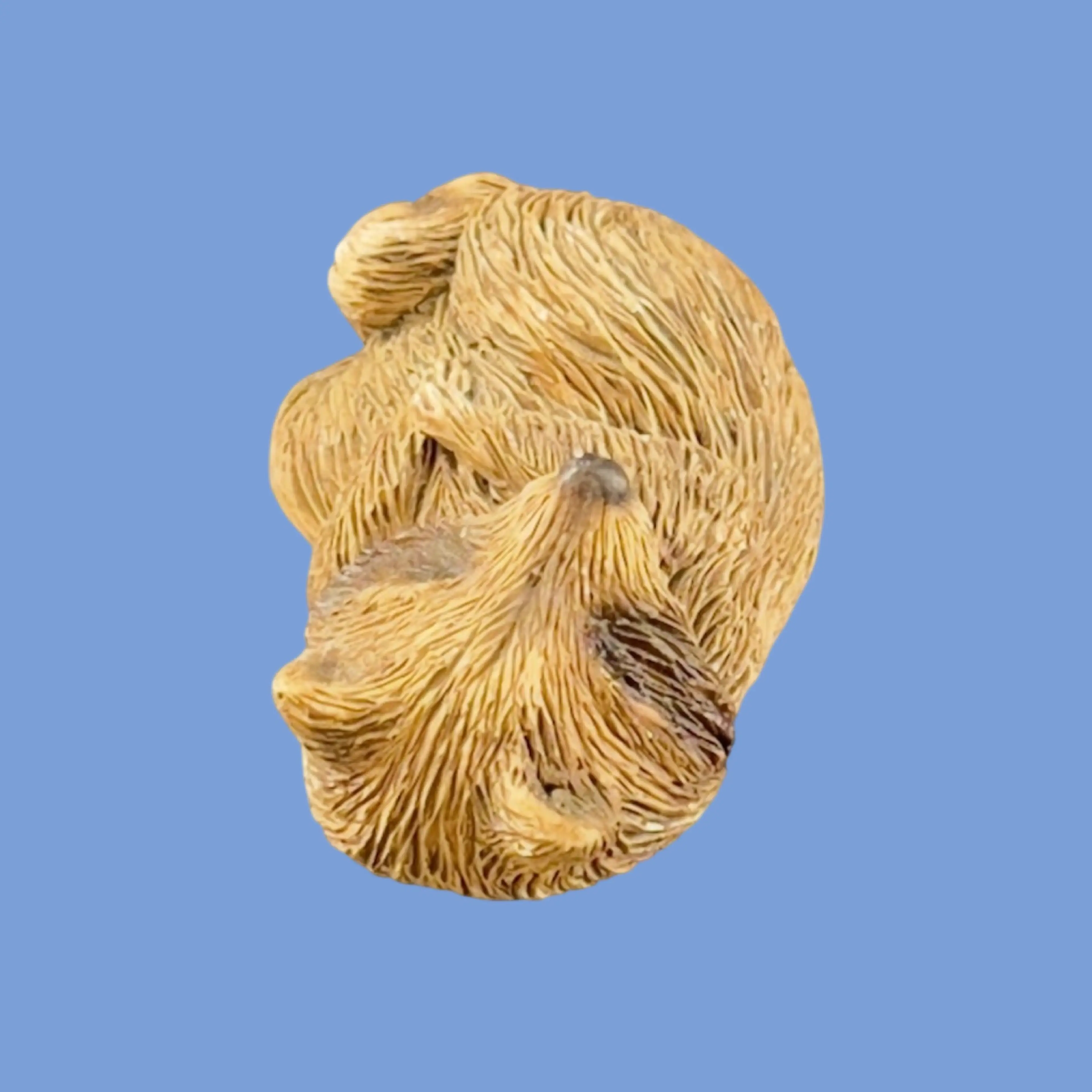 Image 4 of 9