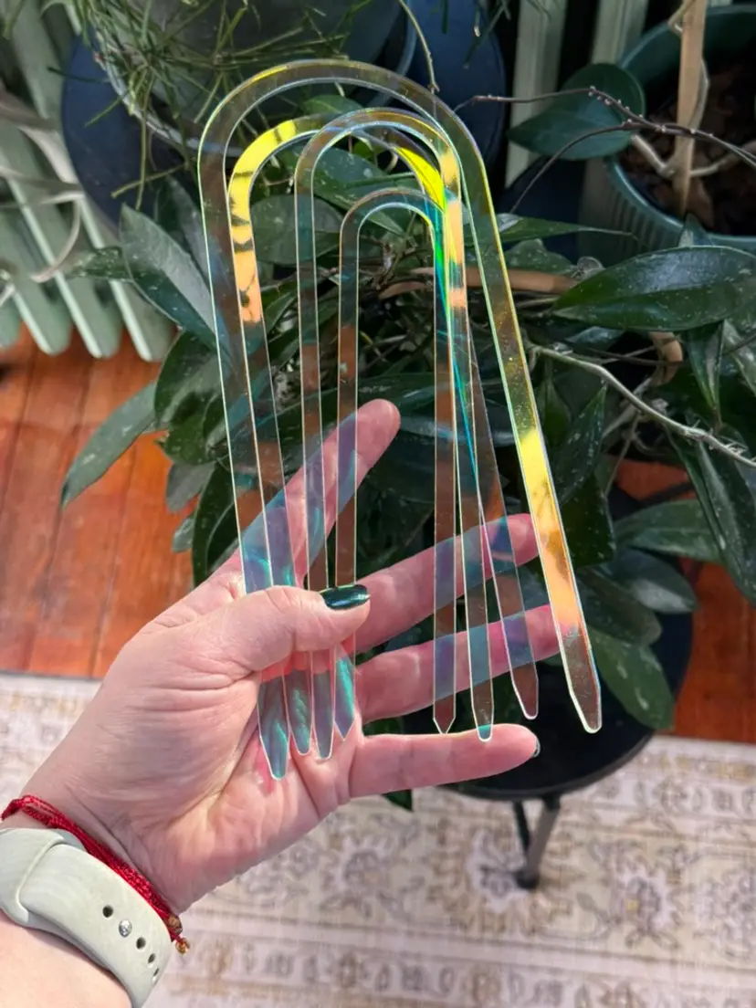 Acrylic Trellis - Irridescent Pink (Multiple Sizes Available)